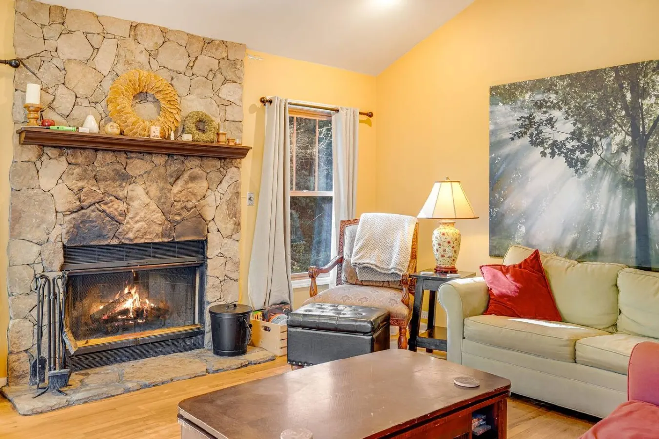 66 Acre Nature Retreat with TWO Charming Cabins 19
