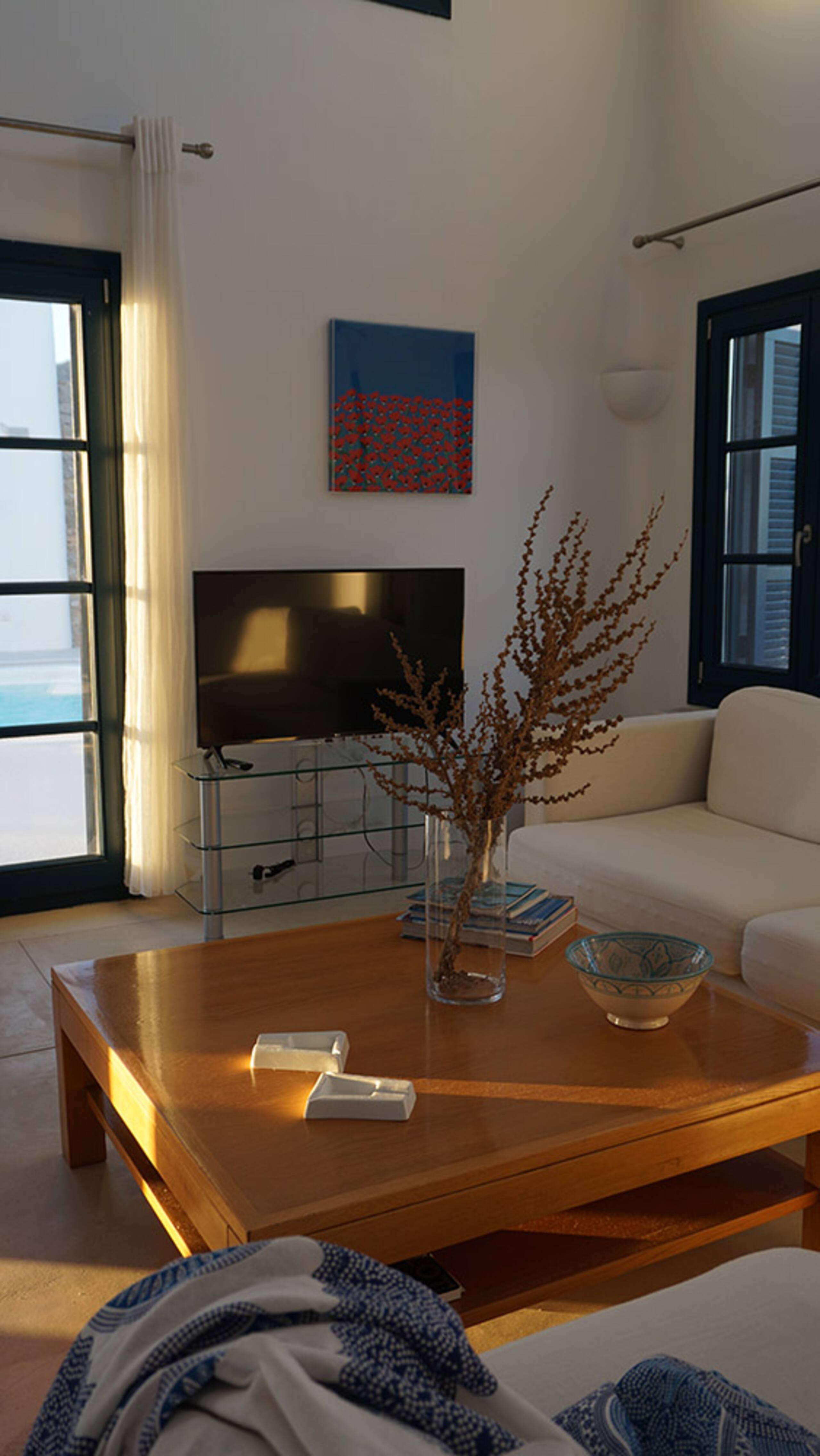 Luxury 8 Bedroom Villa Estate | Panormos Mykonos 9