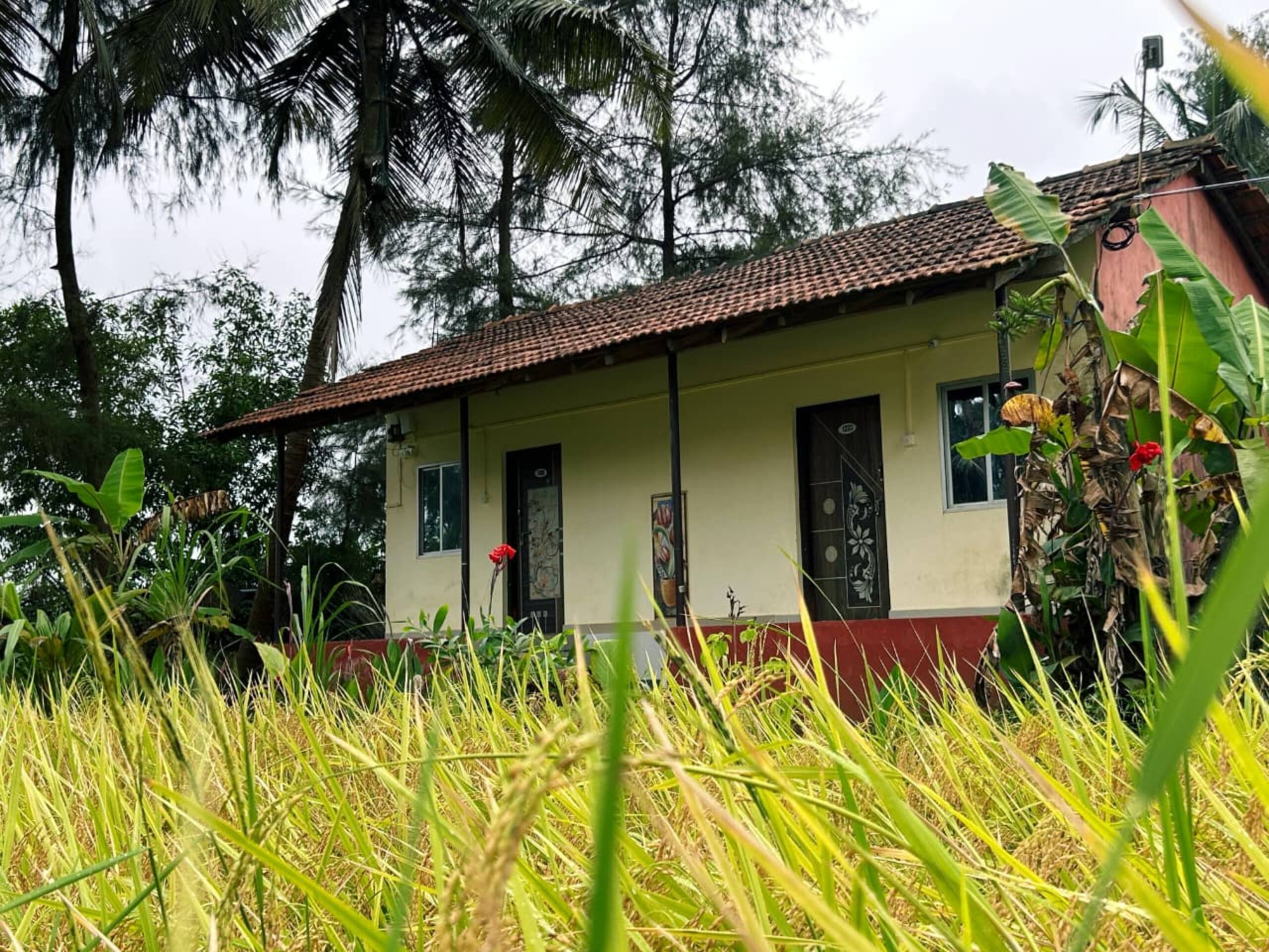 Sukhi Beach Cottage4 19