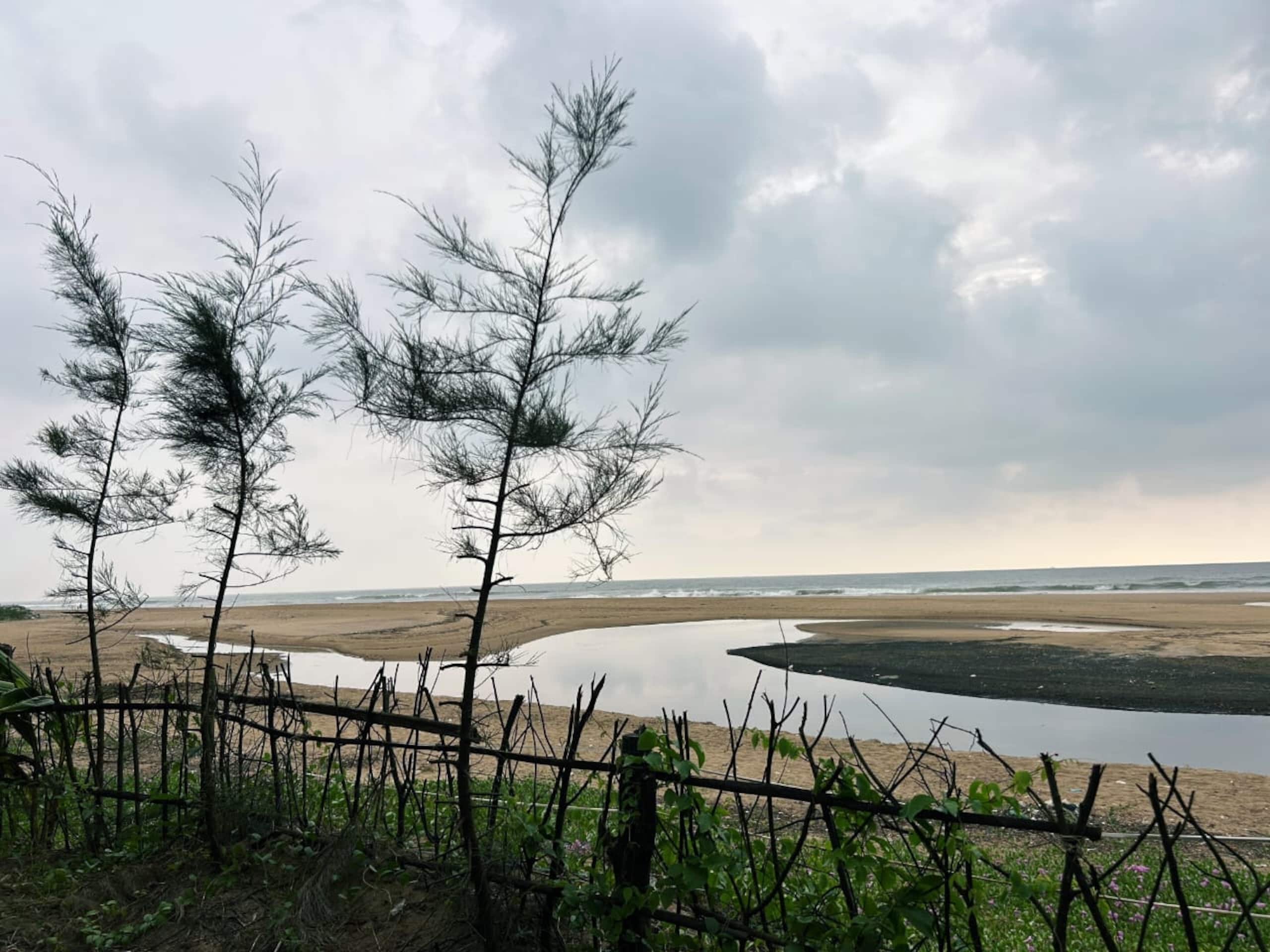 Sukhi Beach Cottage4 6