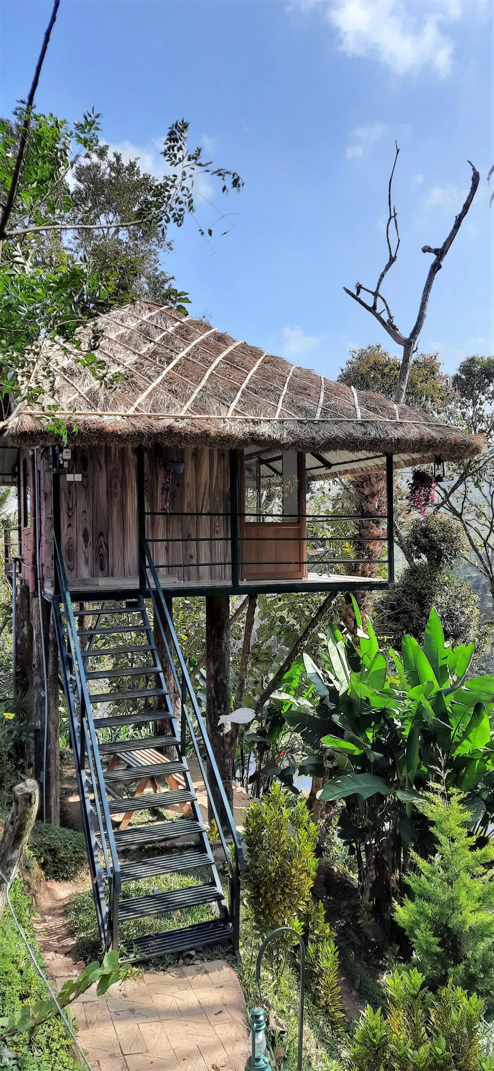 Noah's Nest Tree house 3