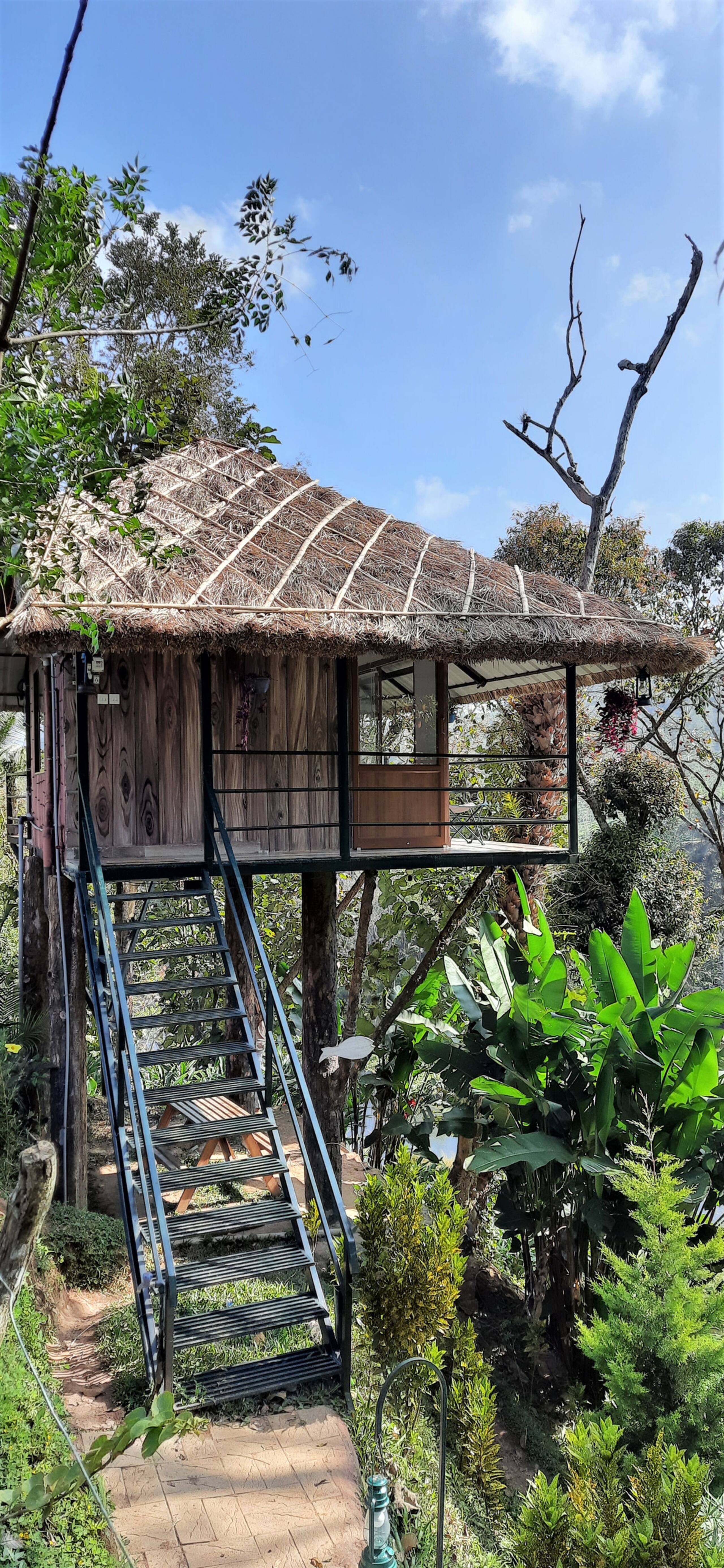 Noah's Nest Tree house 3