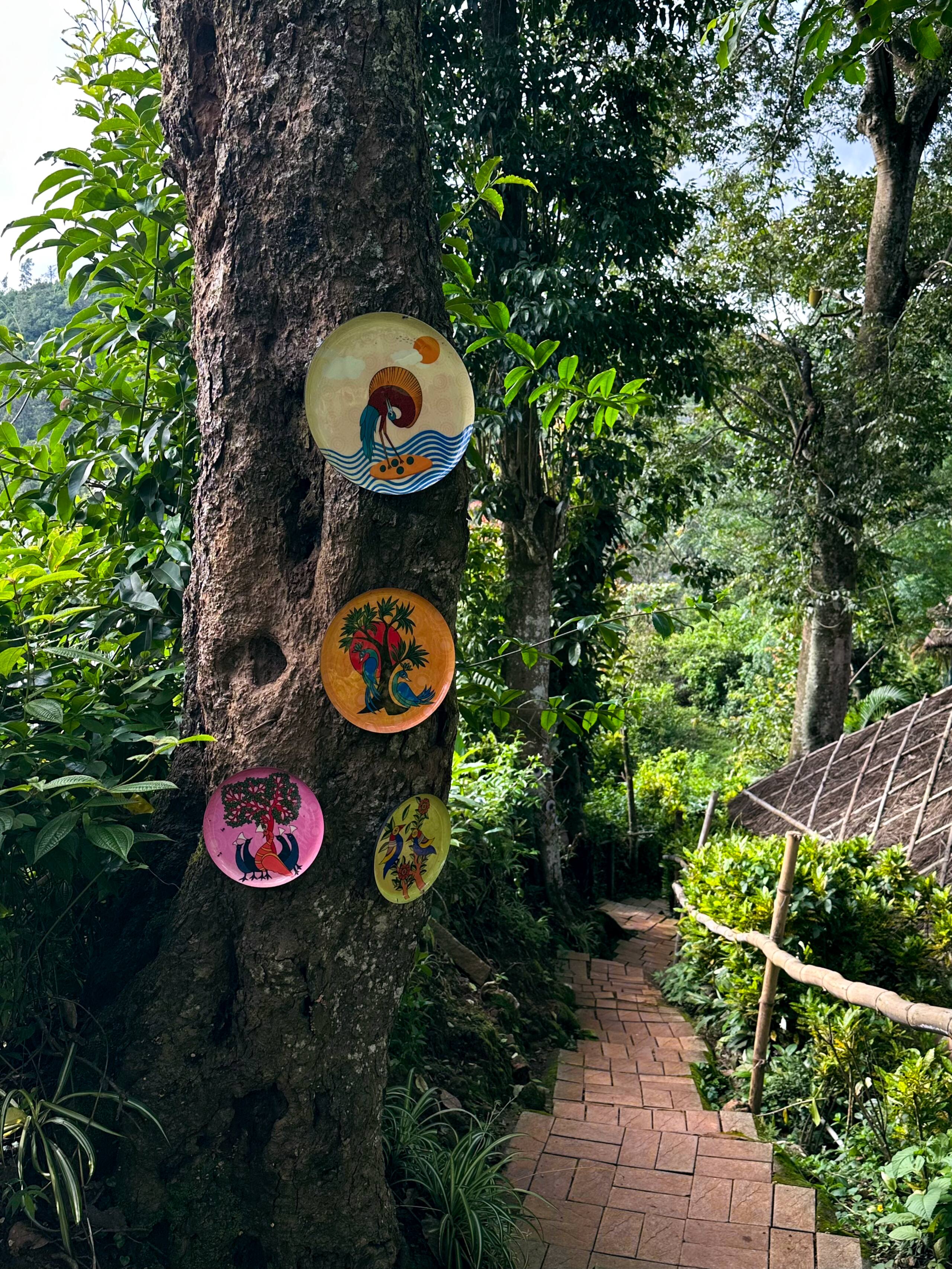 Noah's Nest Tree house 28