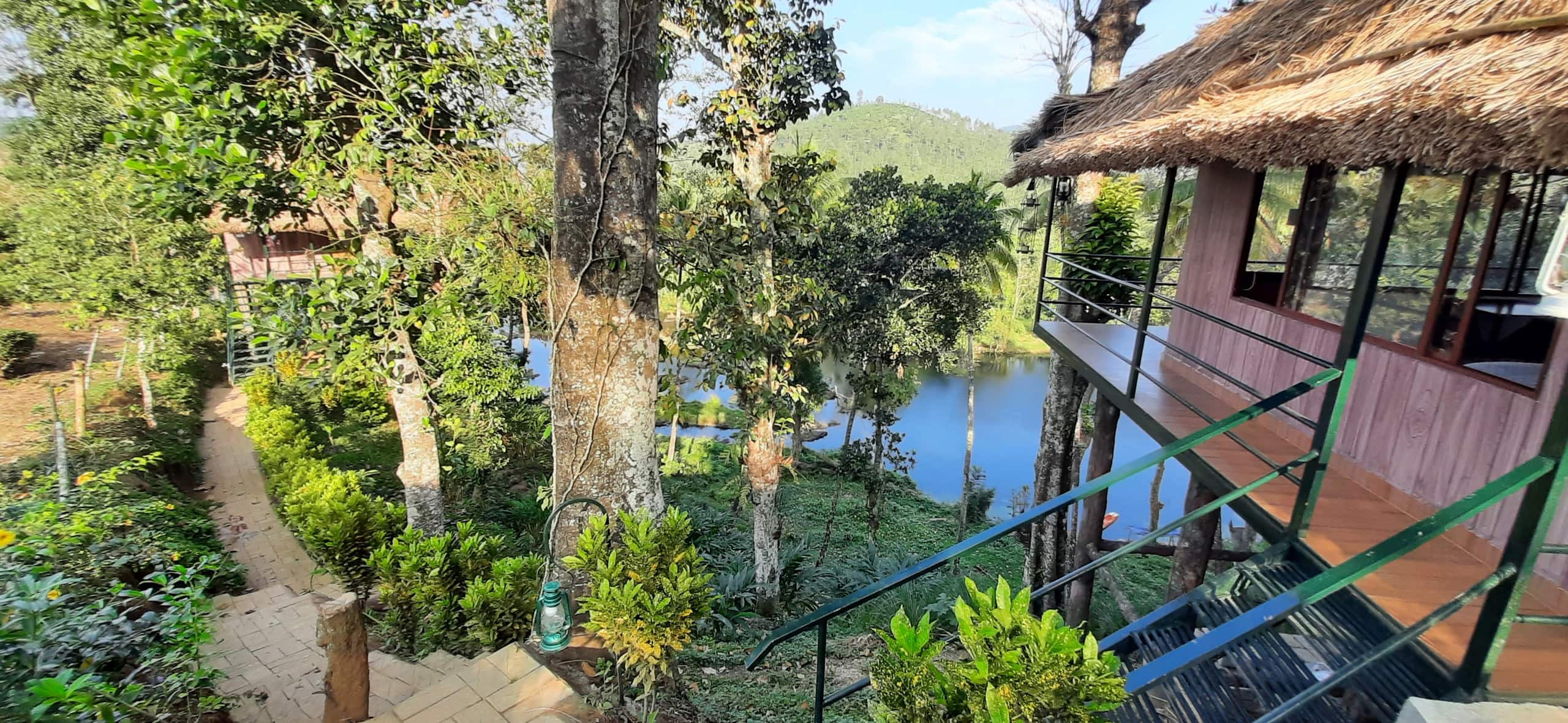 Noah's Nest Tree house 5