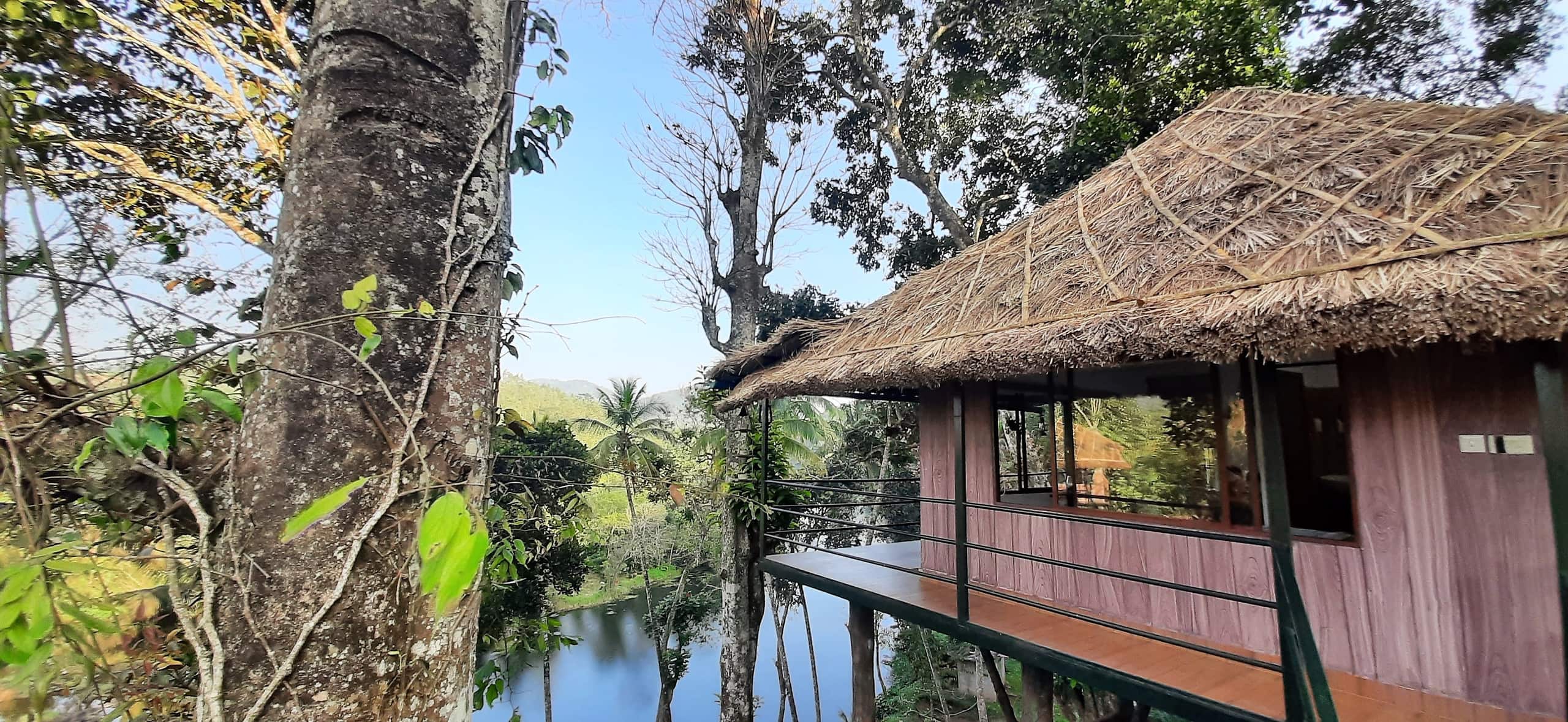 Noah's Nest Tree house 10
