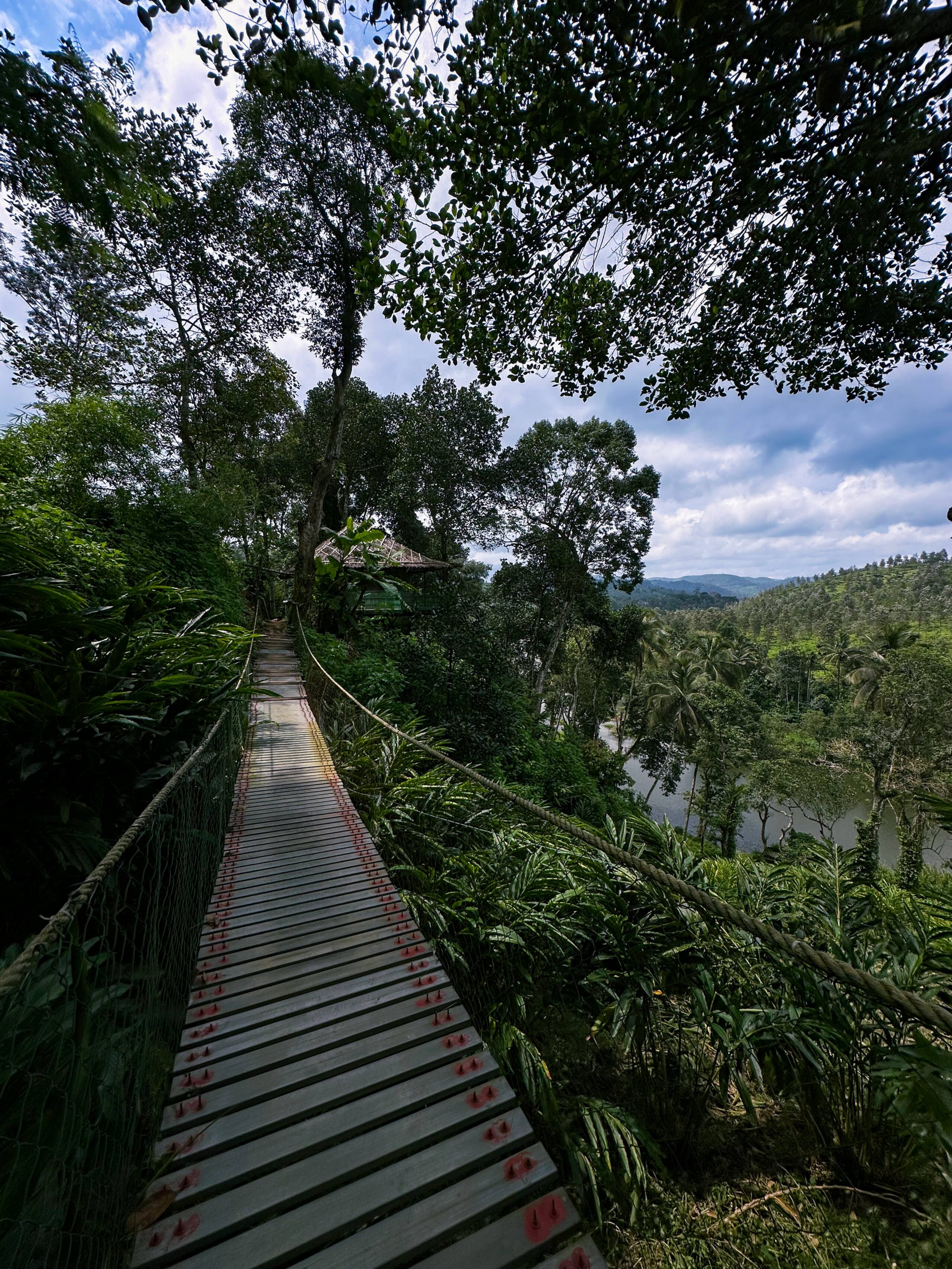 Noah's Nest Tree house 30
