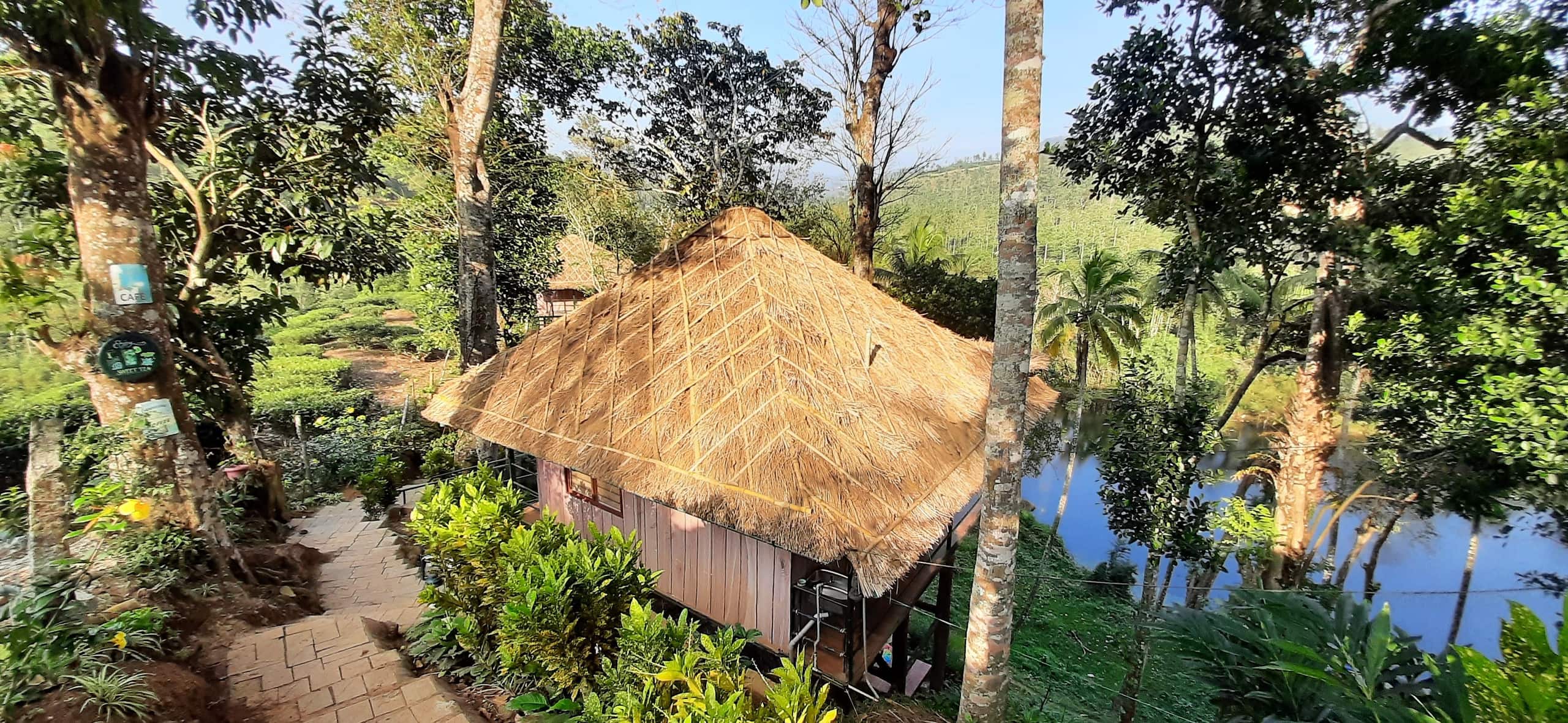 Noah's Nest Tree house 11