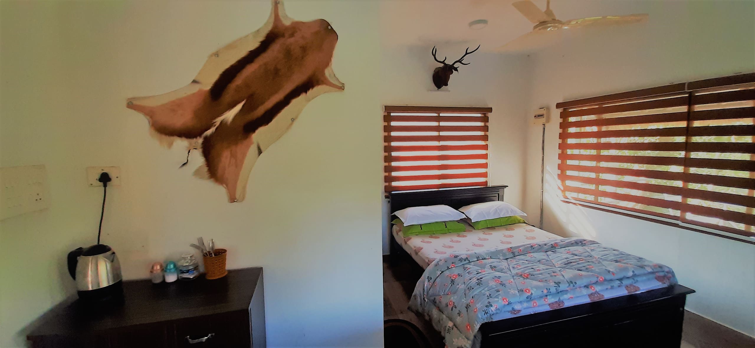 Noah's Nest Tree house 6