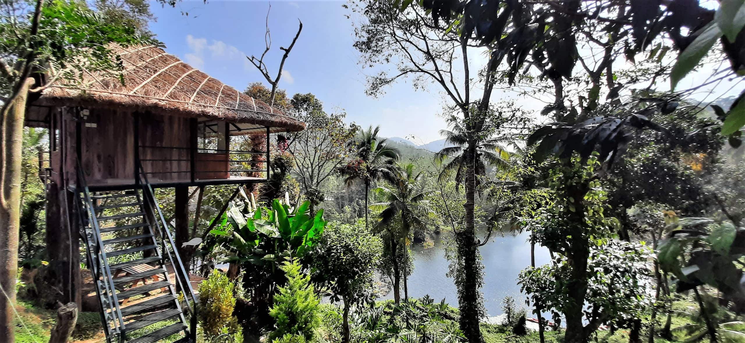 Noah's Nest Tree house 2