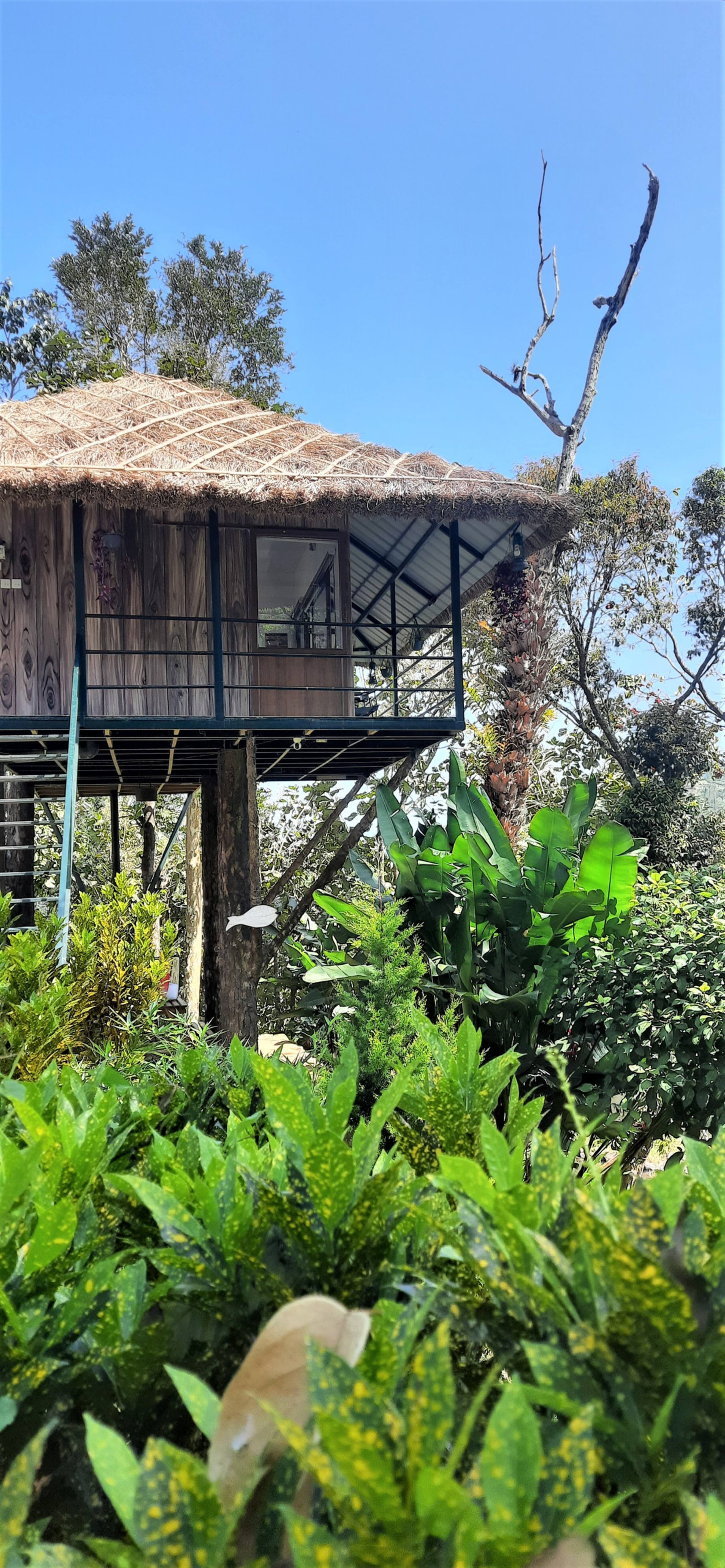 Noah's Nest Tree house 12