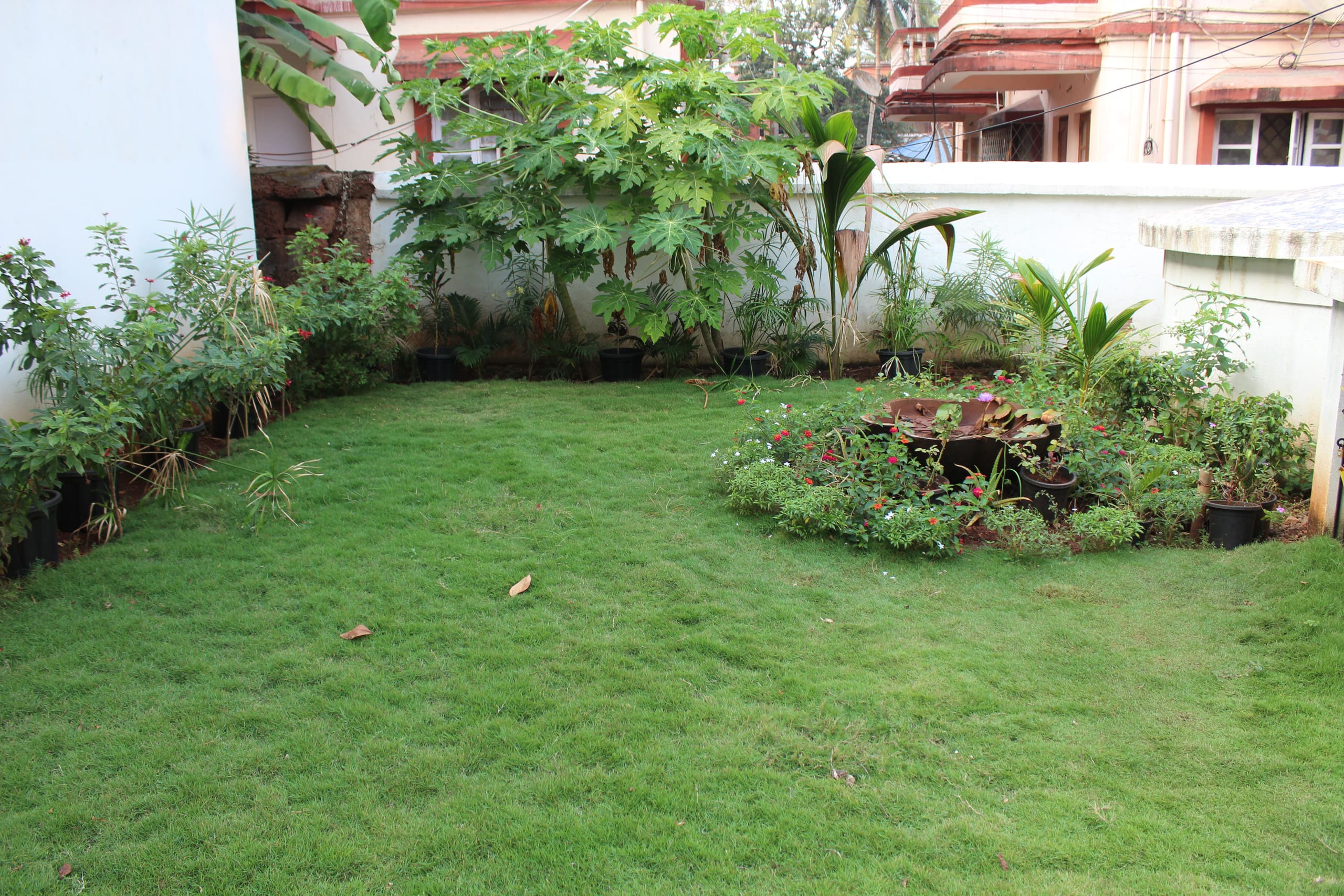 NovoNirvana: 1BHK, 300m to Tito's Lane/Baga Beach 27