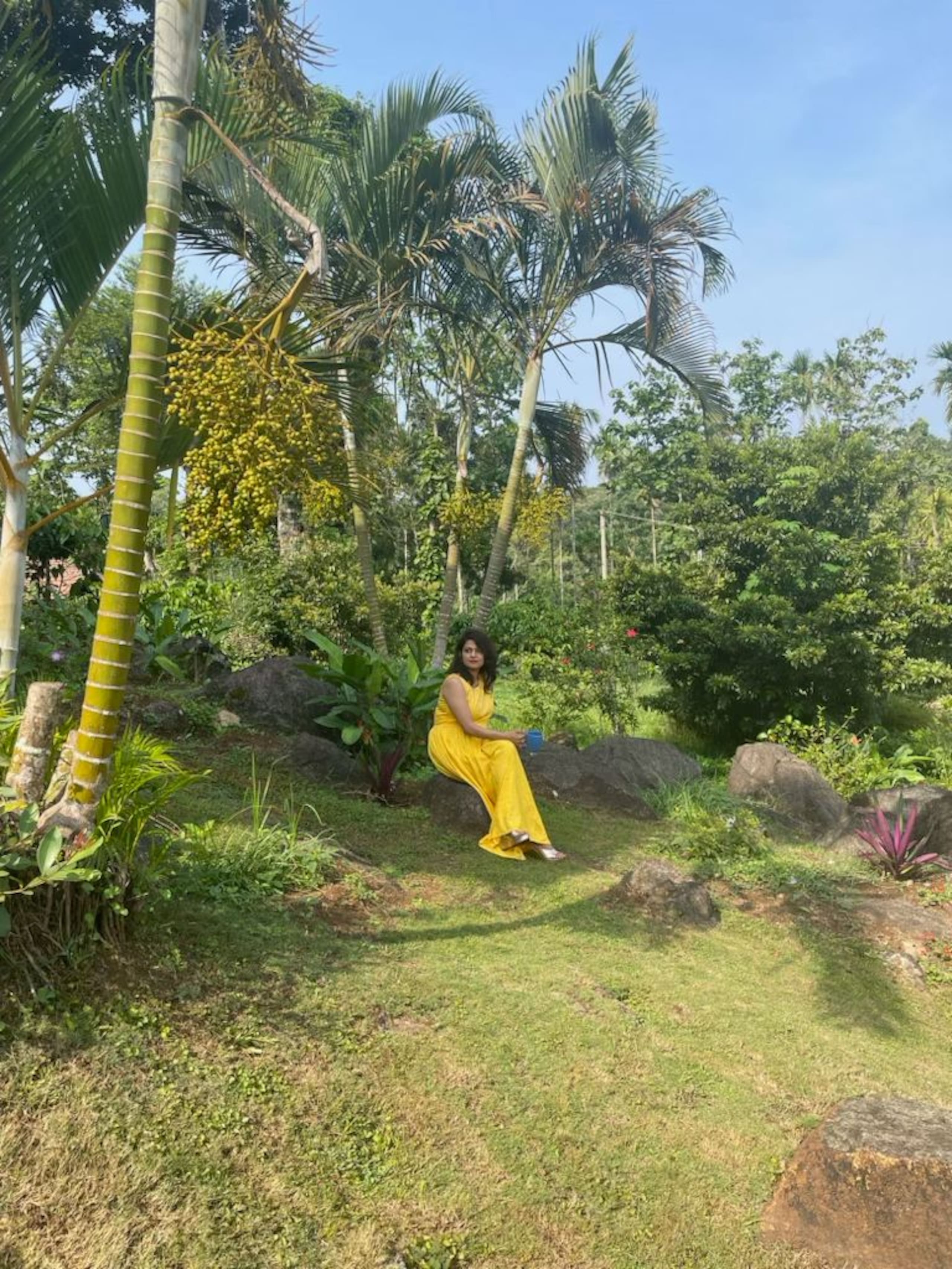 3 BR Bungalow "on the rocks" in Coorg | AC & WiFi 25