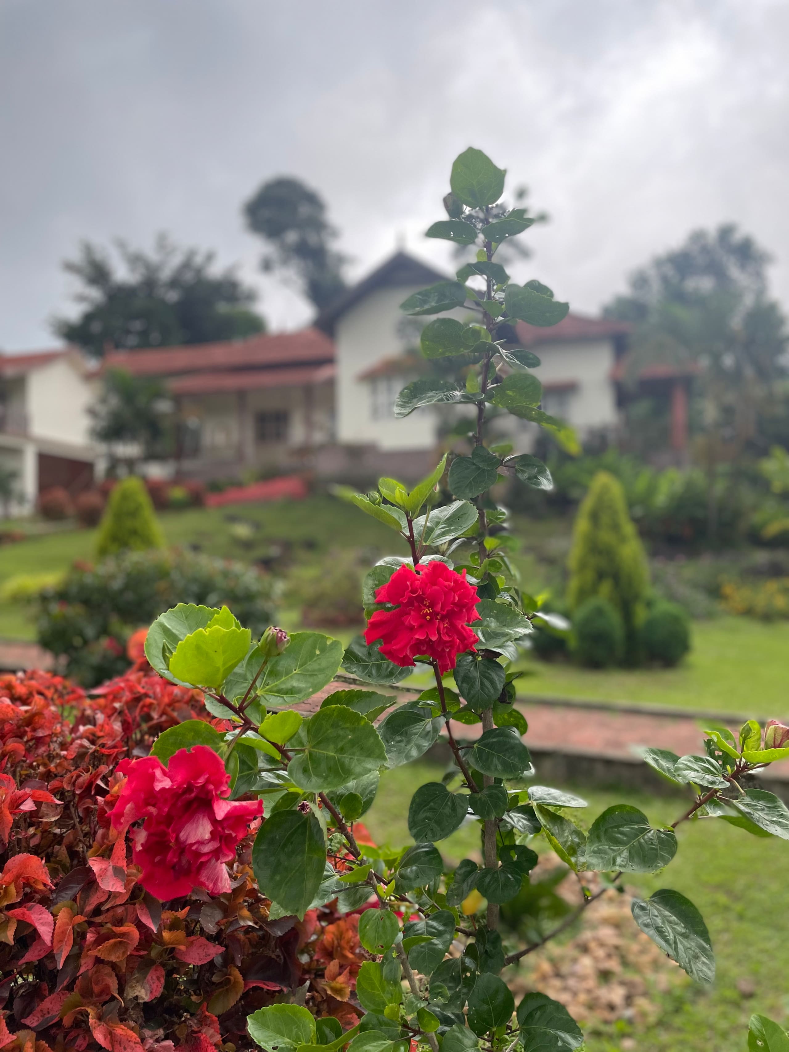 3 BR Bungalow "on the rocks" in Coorg | AC & WiFi 26
