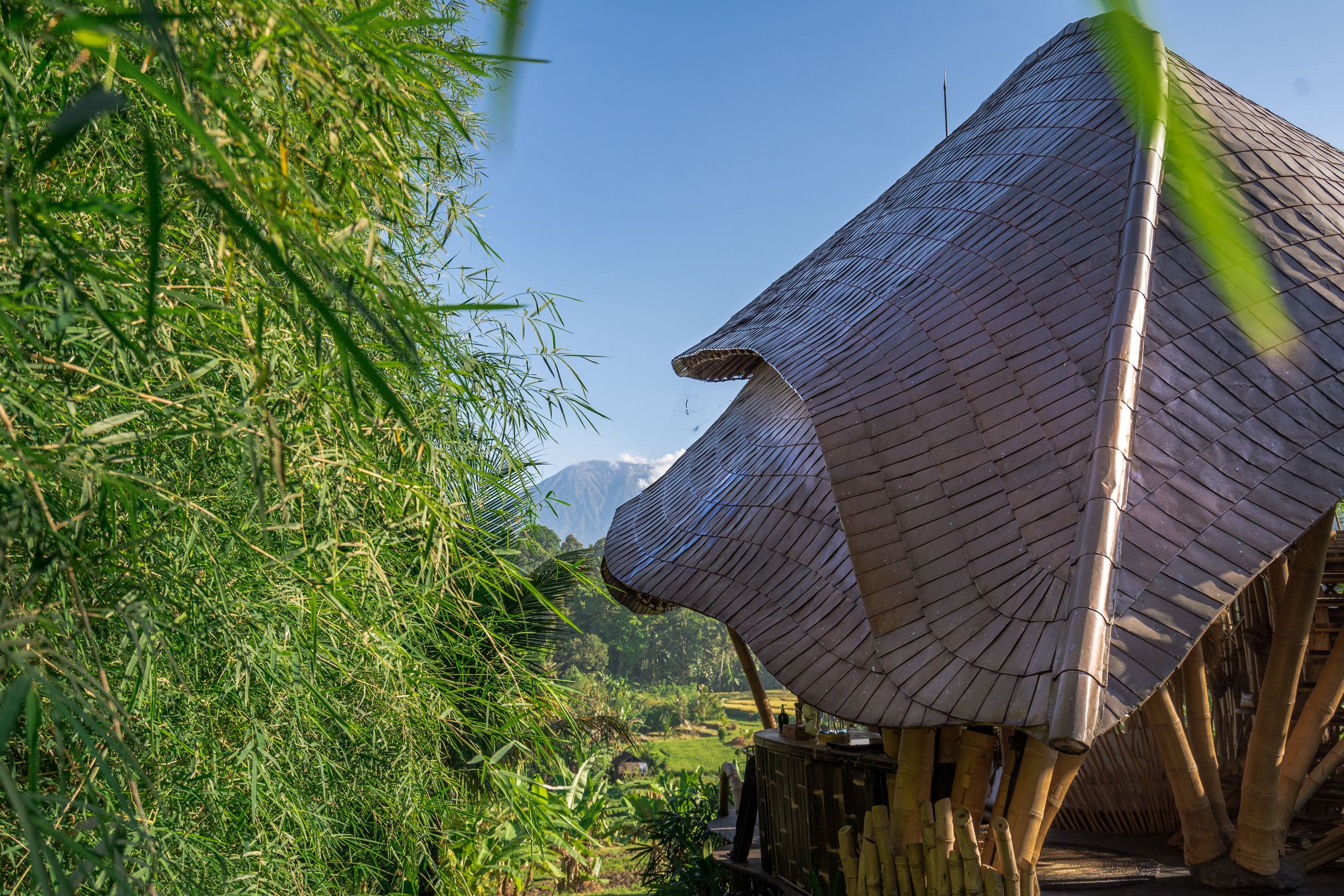 Veluvana Bali - Cobra House 9