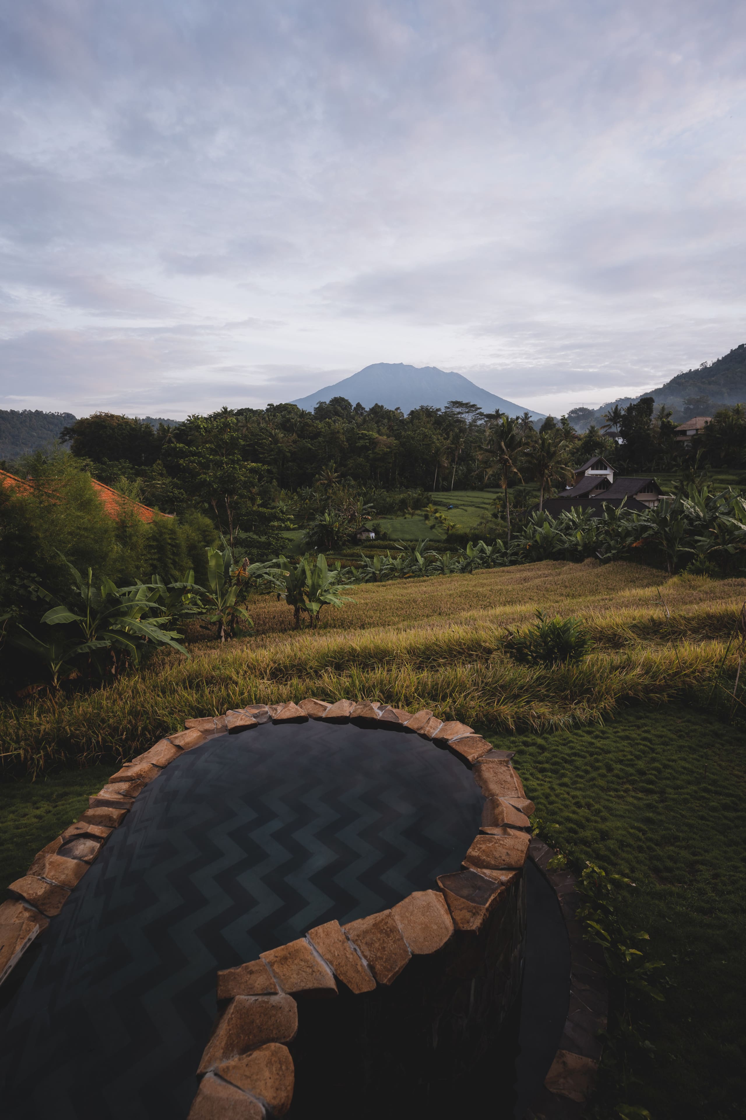Veluvana Bali - Cobra House 39