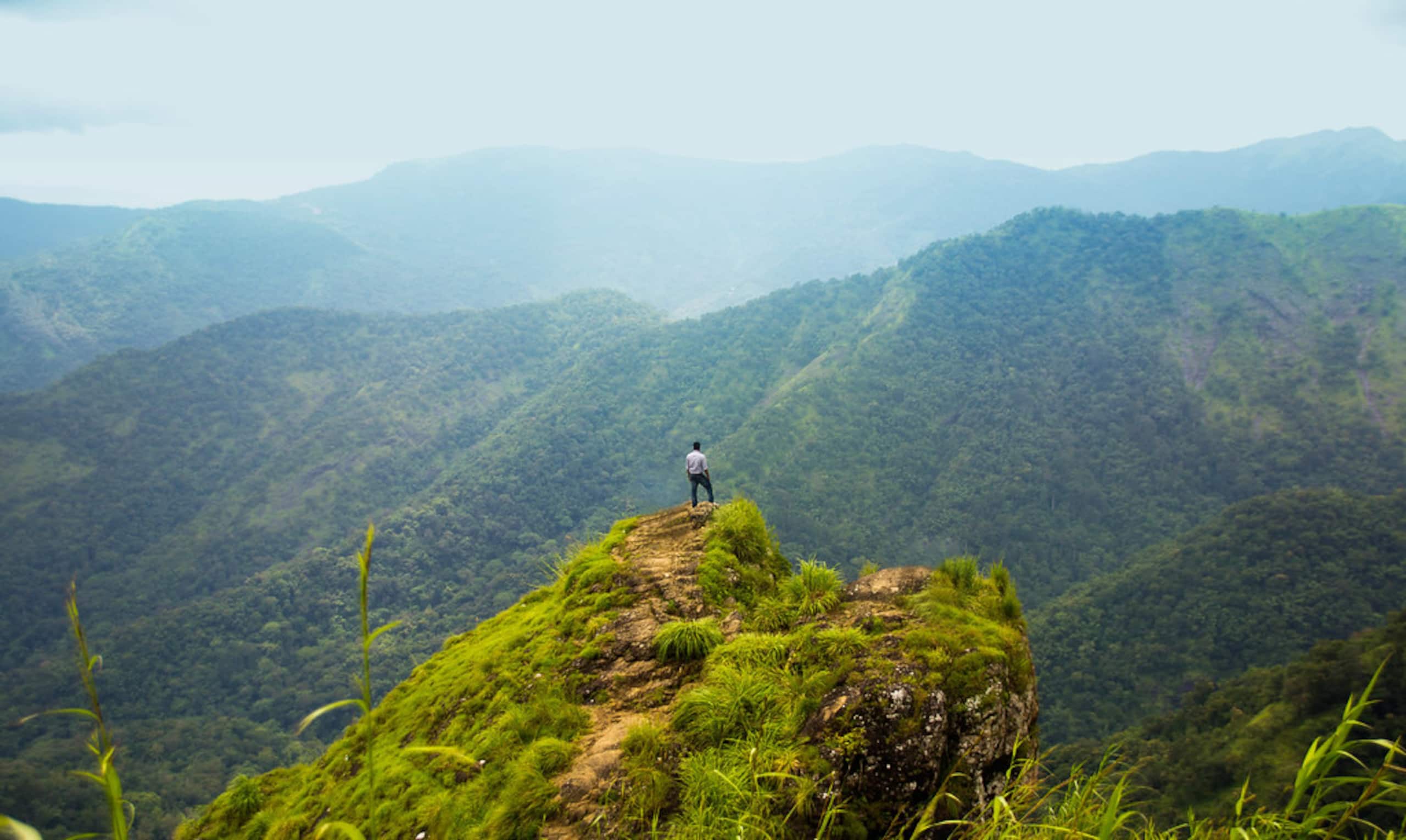 Private Resort with Pool | Vagamon - Kuttikkanam 21