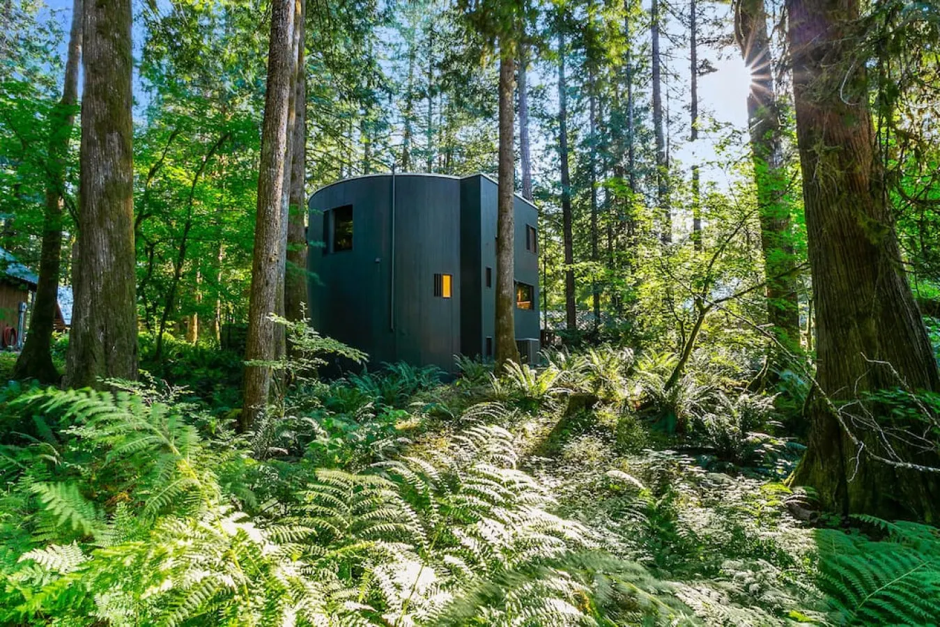 Architect Designed Round Cabin w Hot Tub & Sauna 8