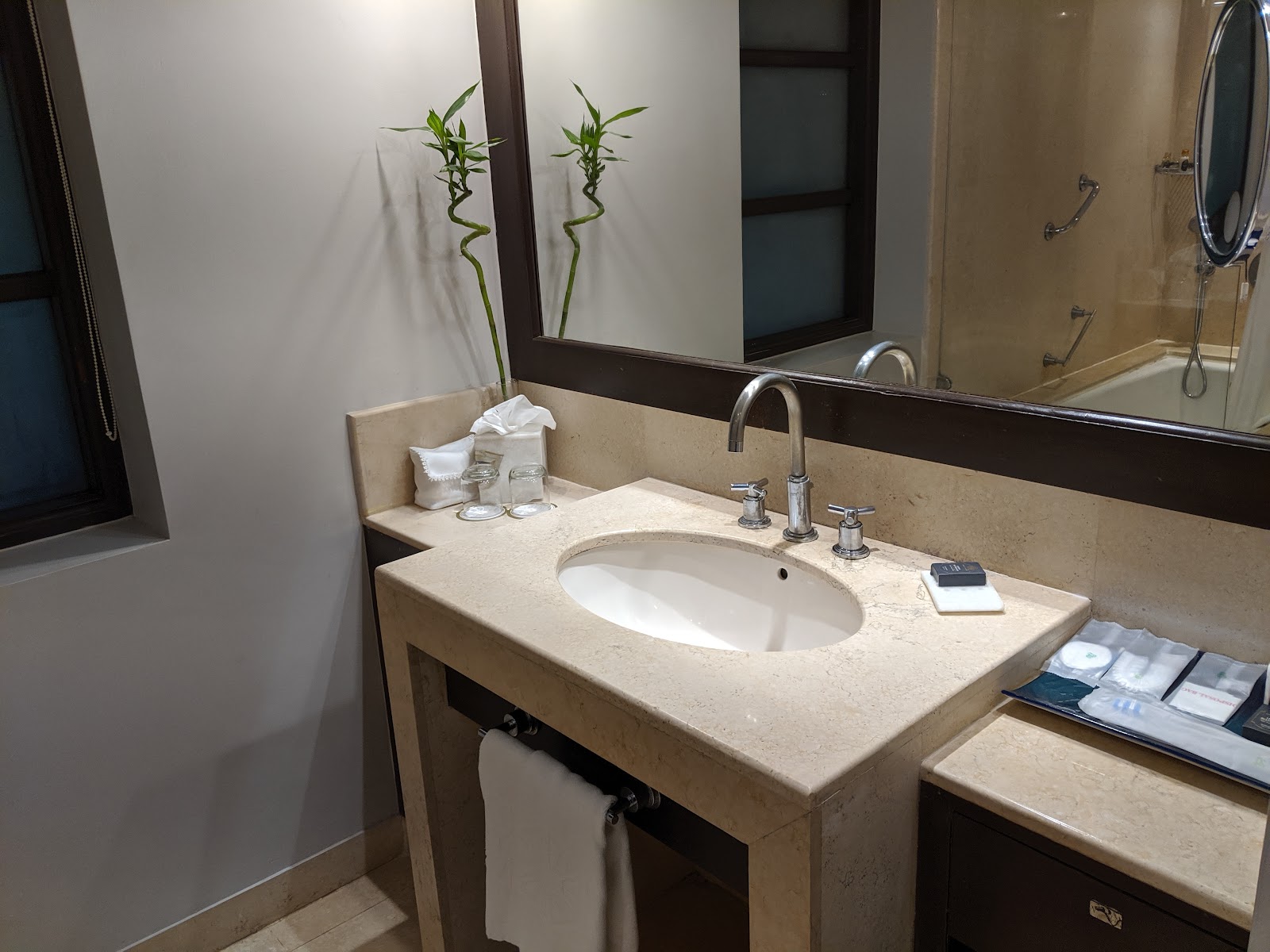 203 Charming Rooms near Taj Holiday Village 4