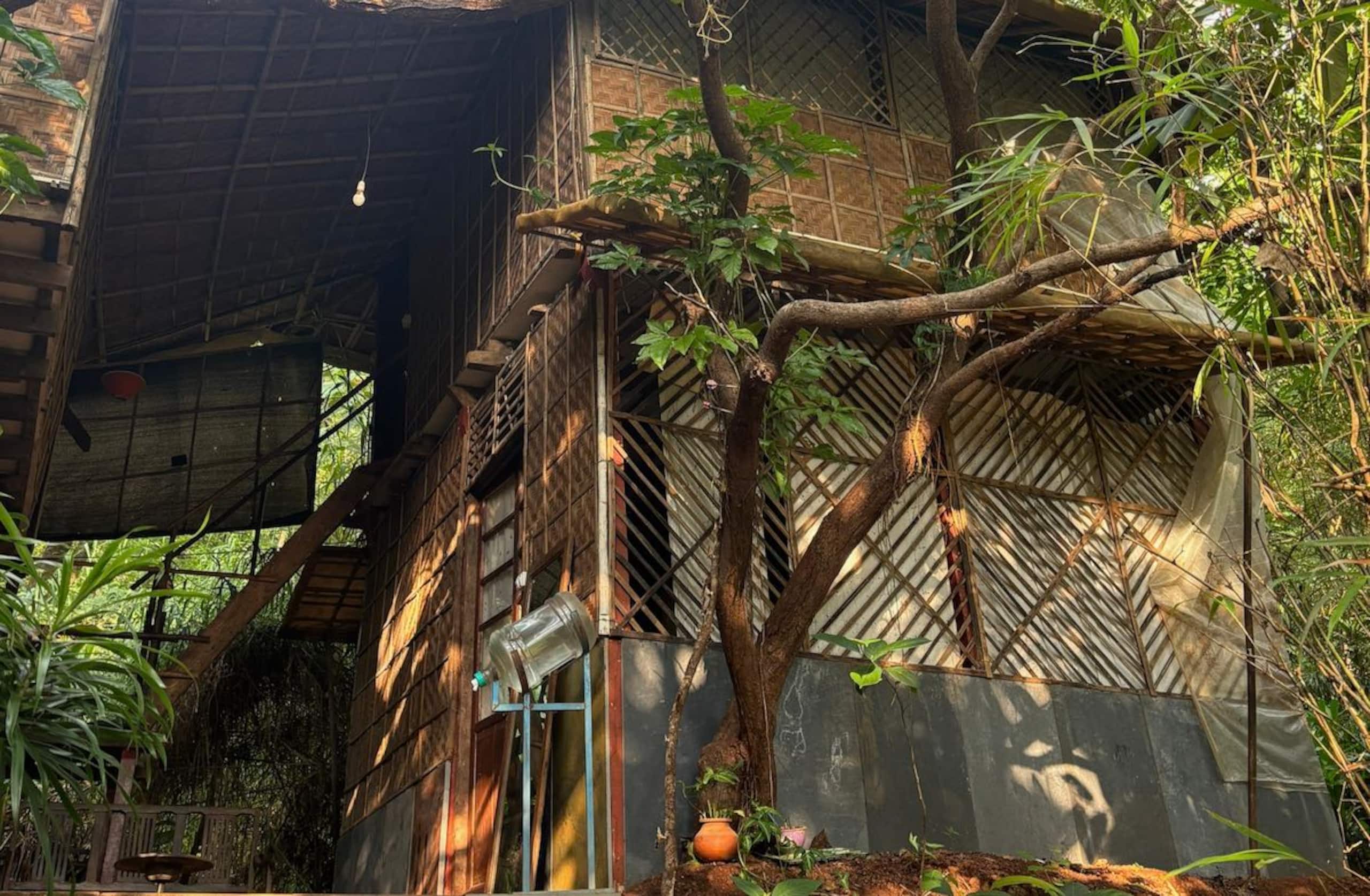 Jungle Mixed Hostel 16