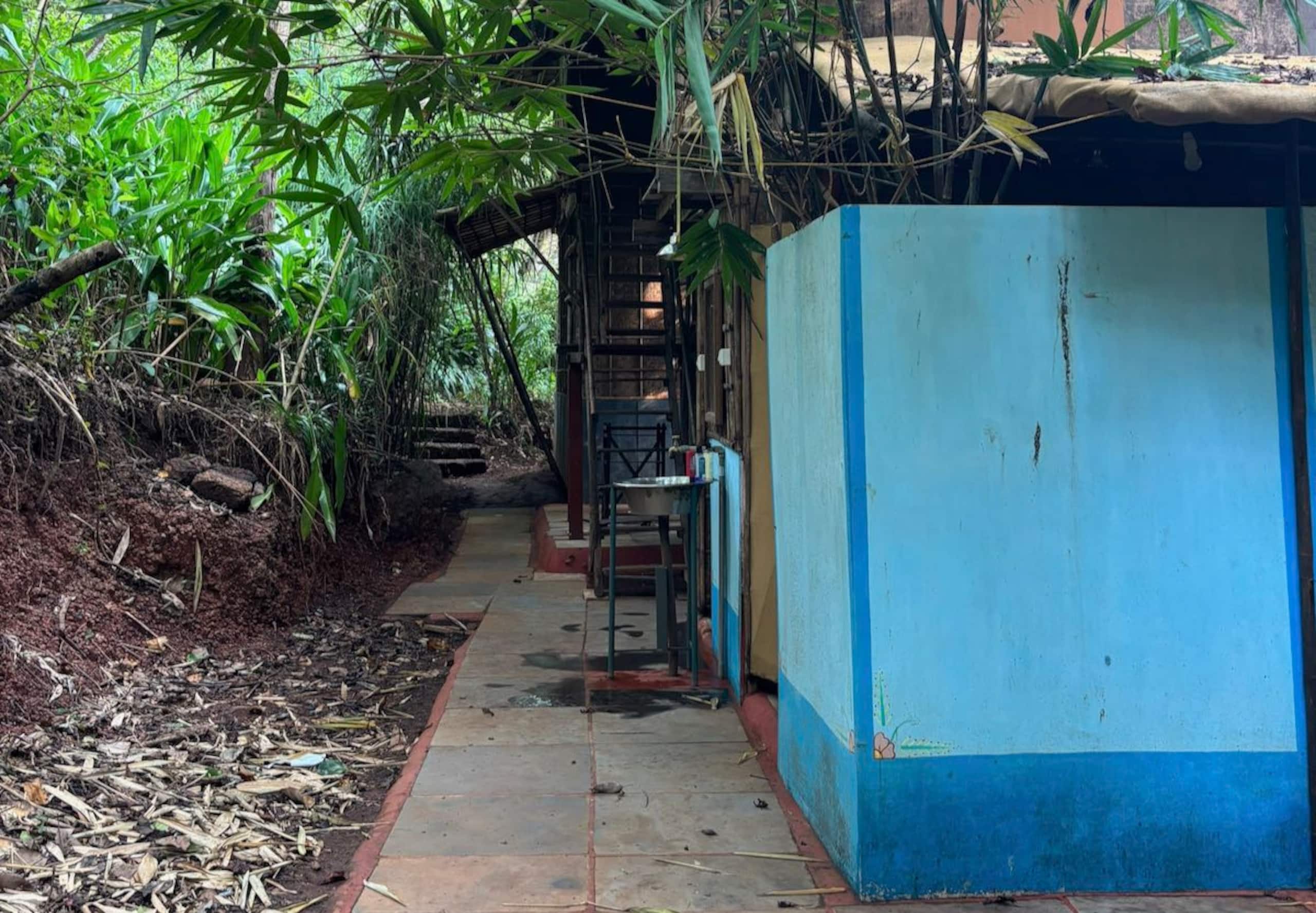 Jungle Mixed Hostel 17