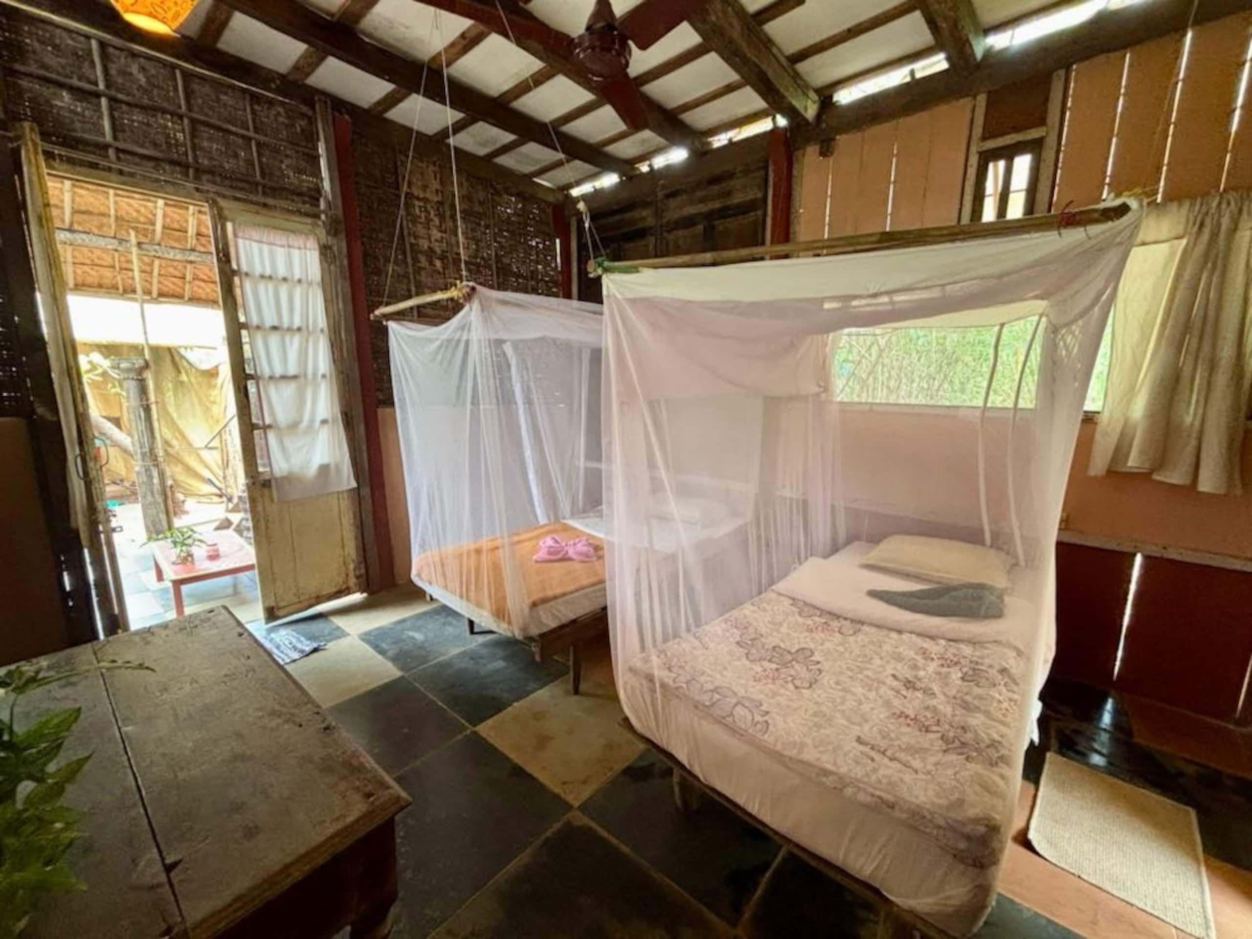 Jungle Mixed Hostel 19