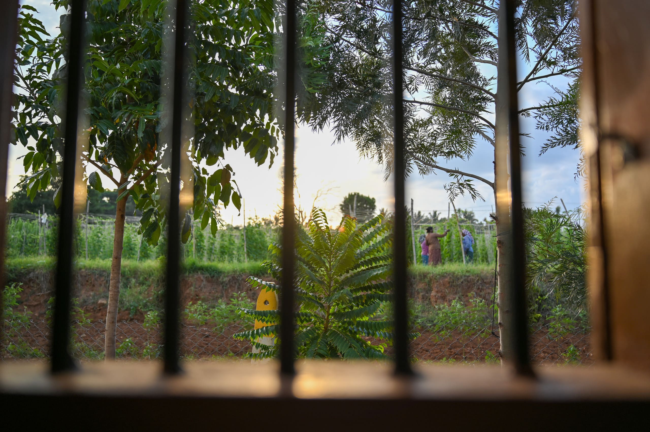 "Namma Hatti,- Traditional Farmstay Near Mysuru" 27