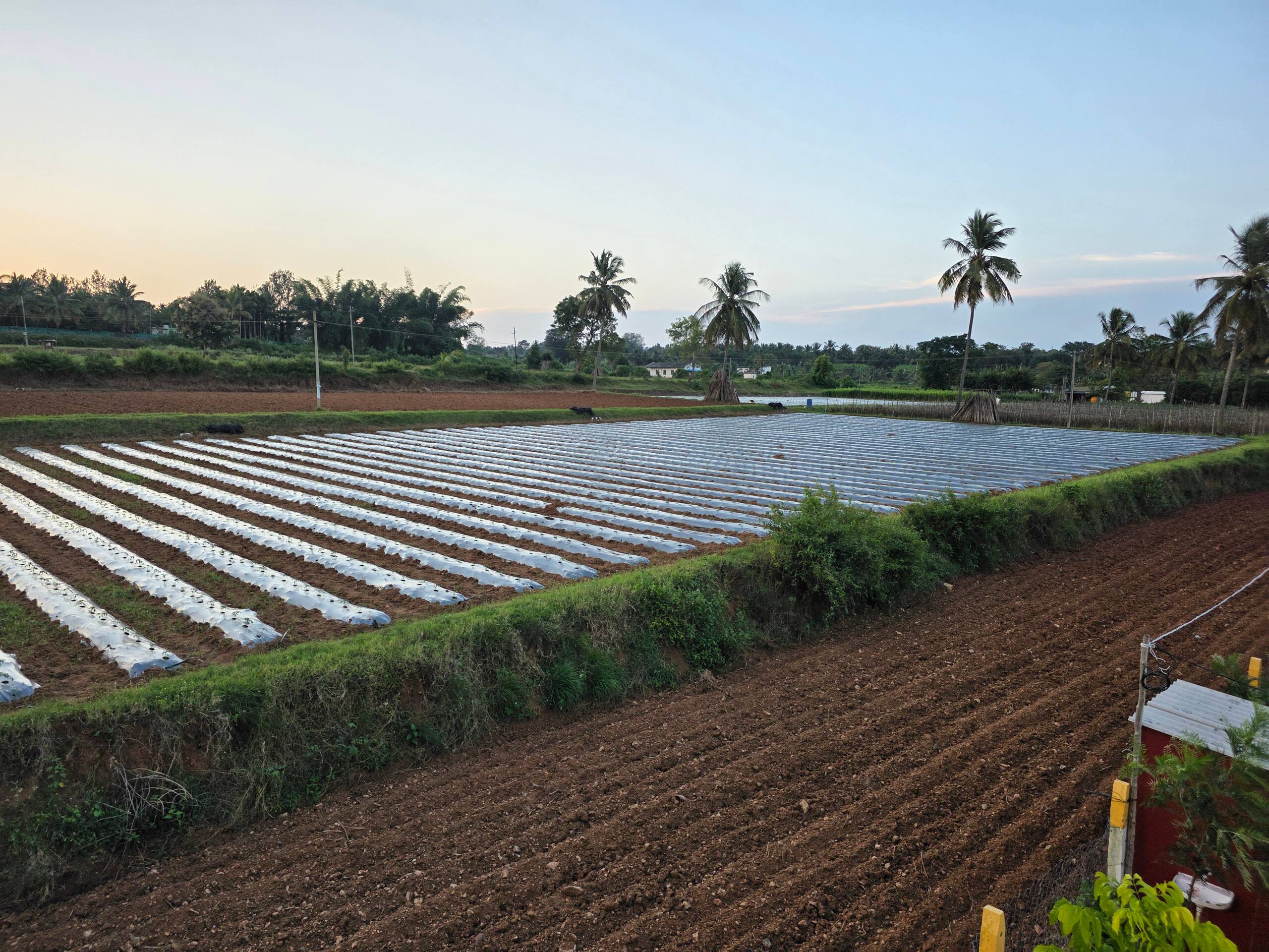 "Namma Hatti,- Traditional Farmstay Near Mysuru" 8