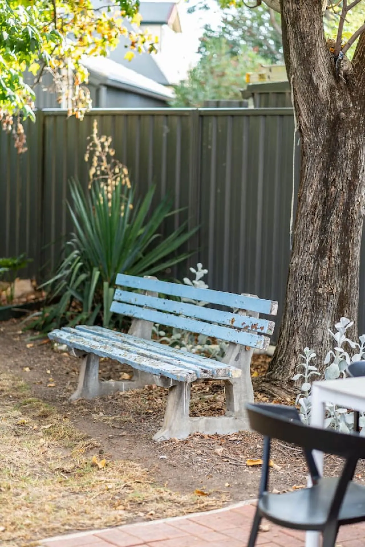 Redgum on Rugless—Coastal Charm near Glenelg Beach 17