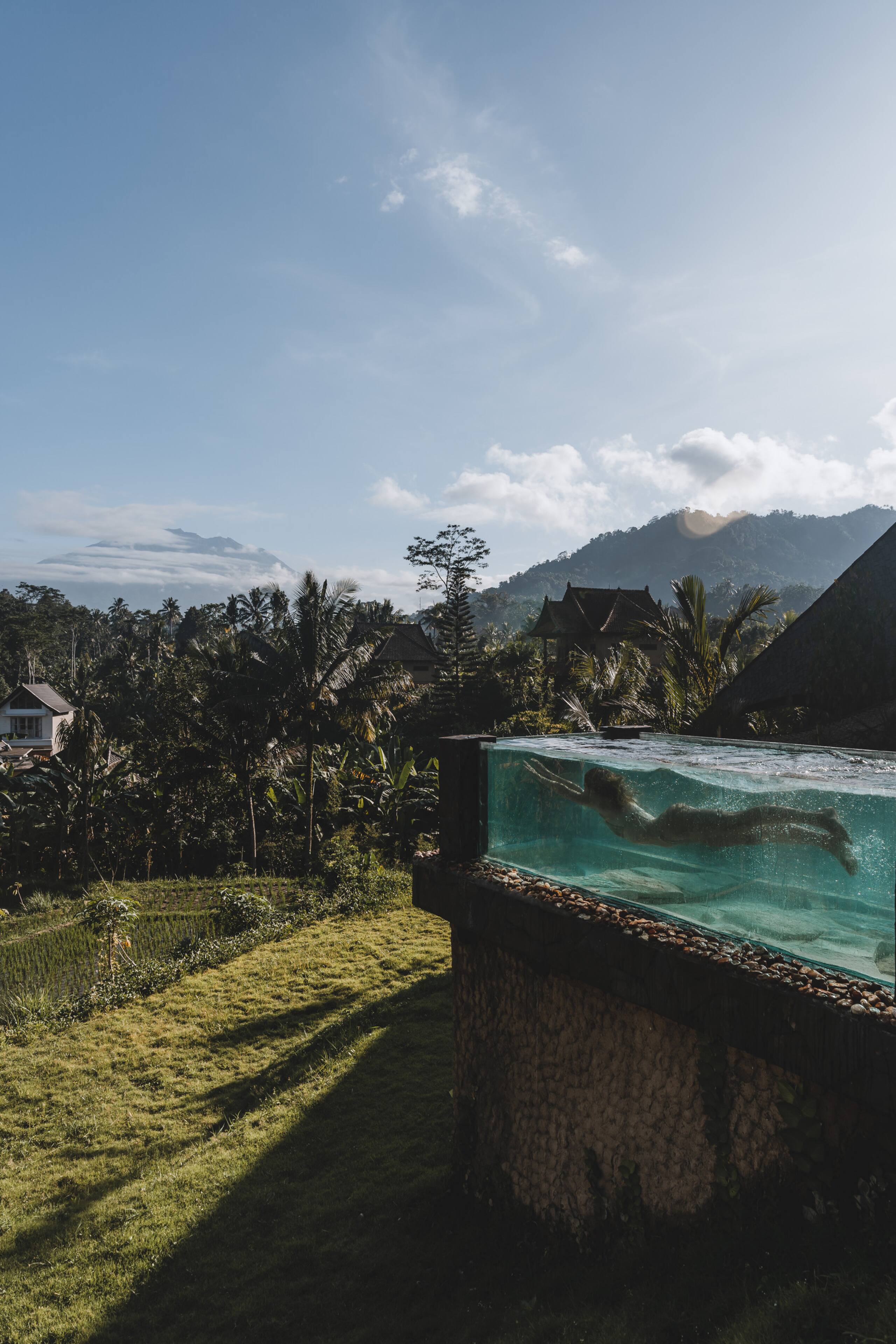 Veluvana Bali - Manta House — photo 4