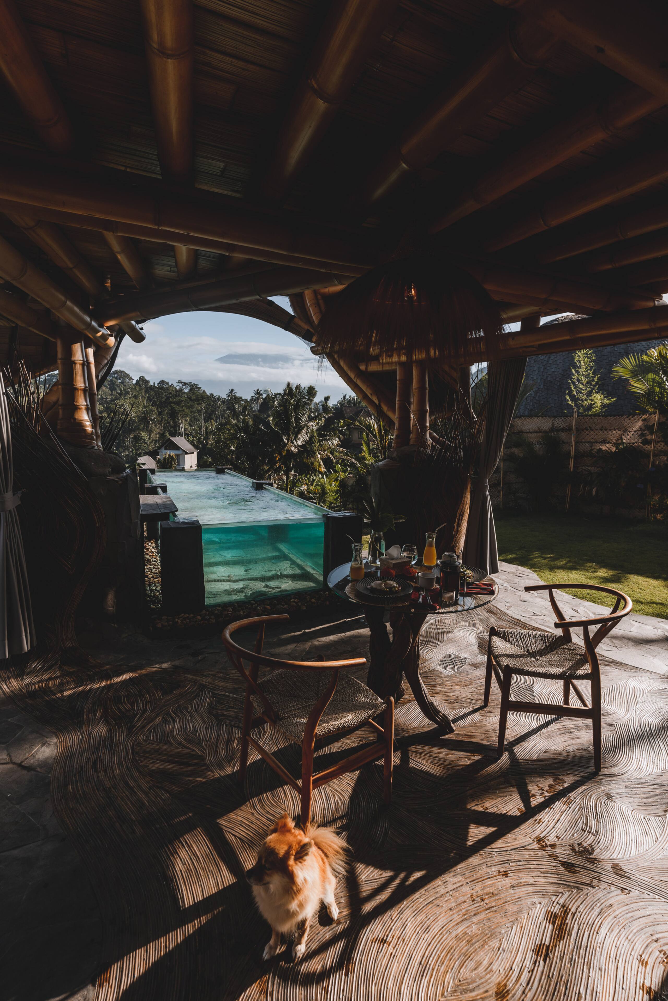 Veluvana Bali - Manta House 23