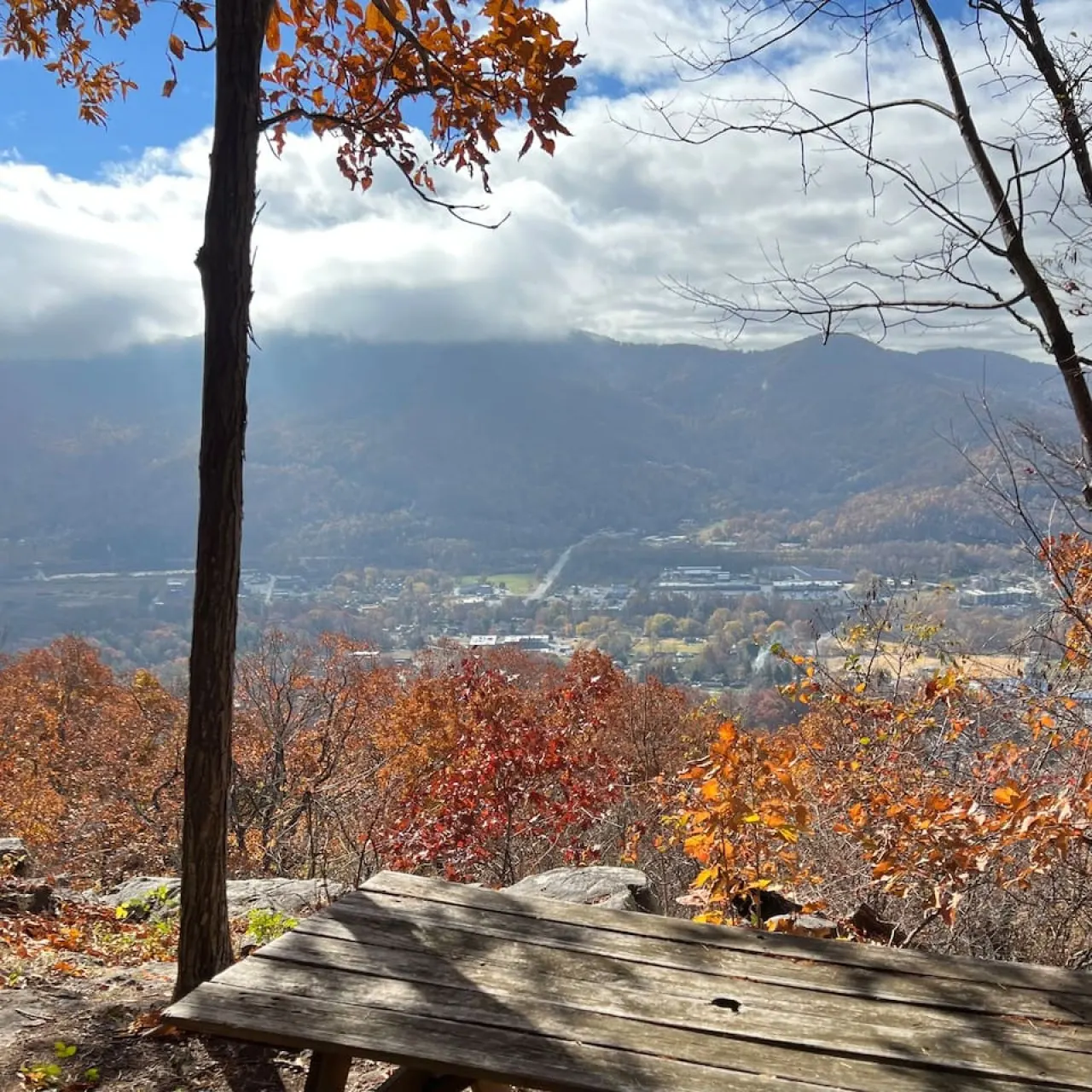 The Peach Perch | Ridgetop & 20 Min to Asheville — photo 5