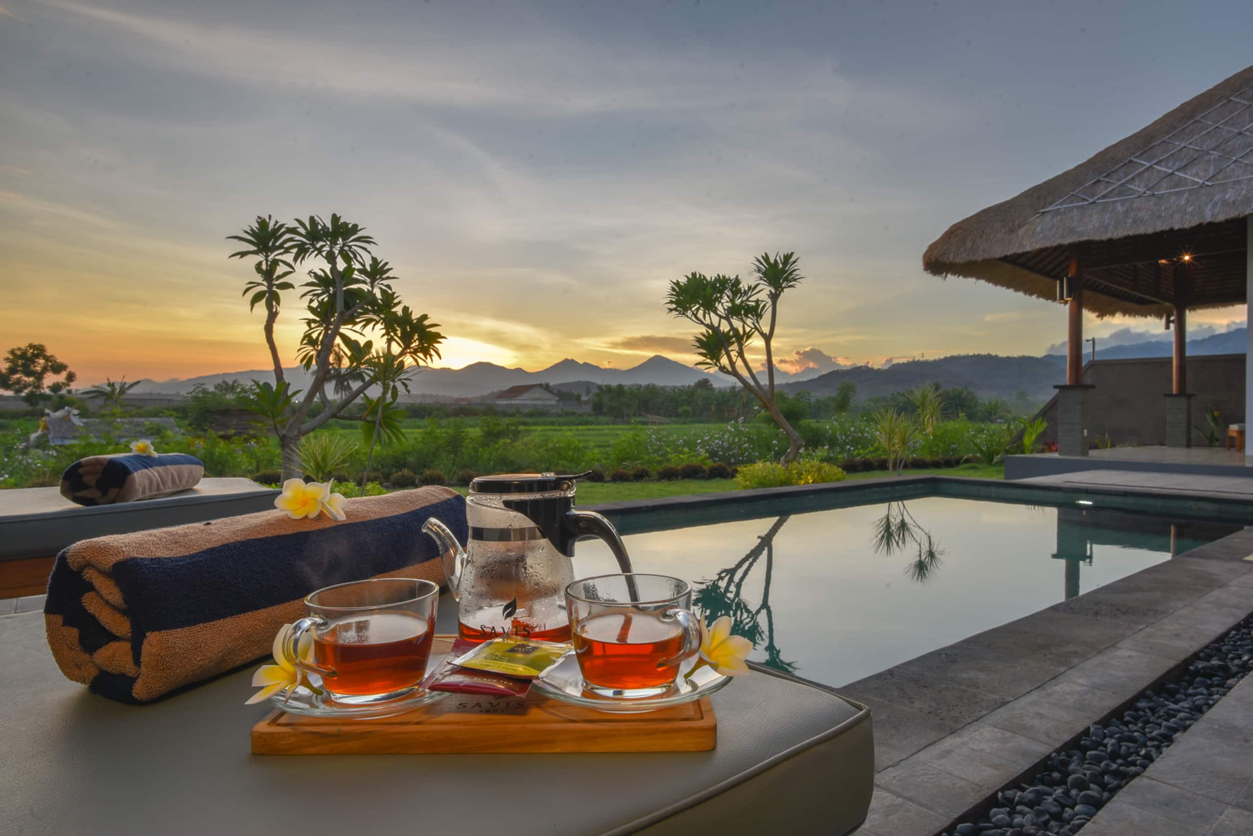 Beach front private pool villas 2 @Lovina area 14