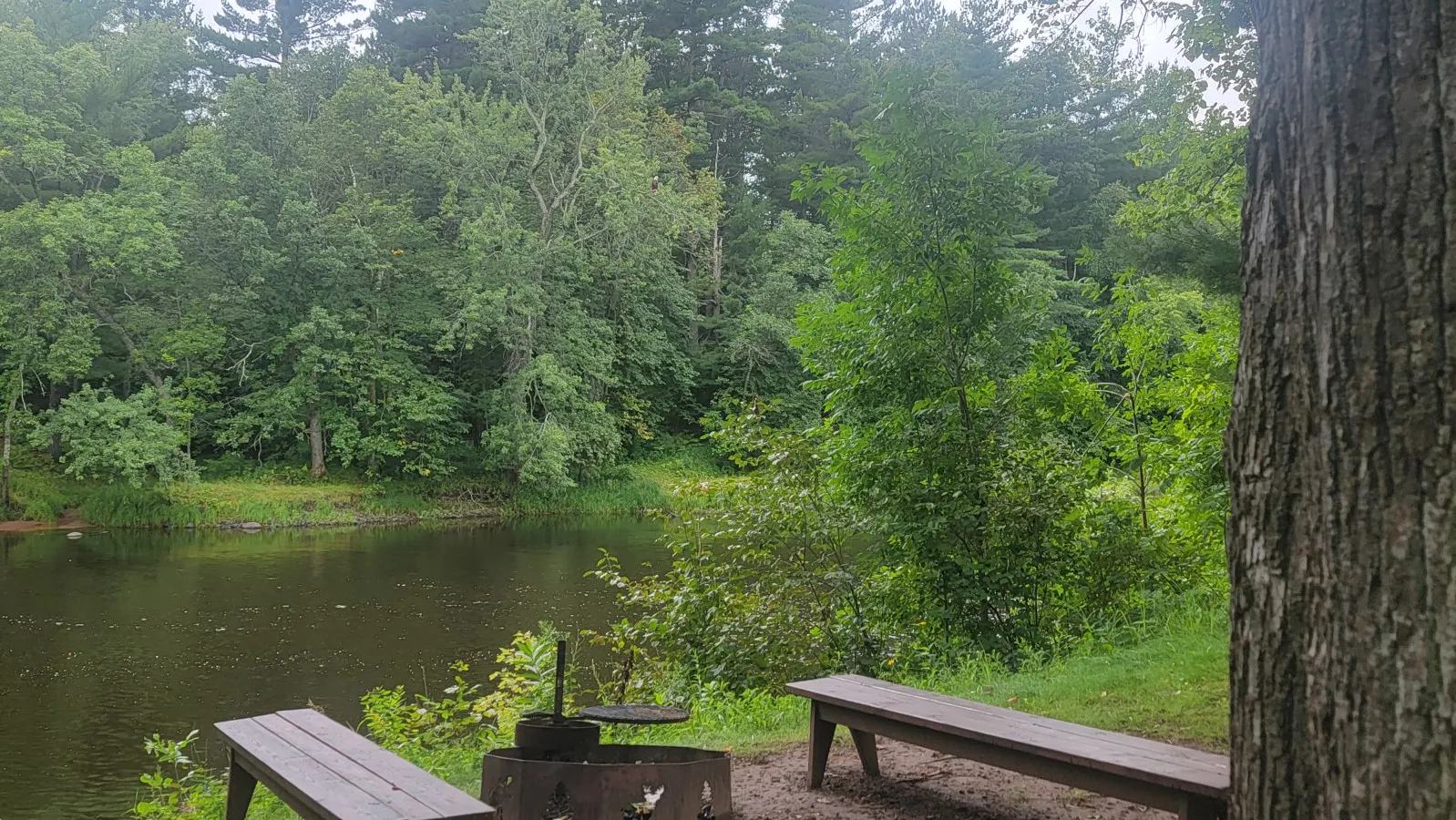 River Cabin · Pine City-Riverfront-firepit-kayaks-pets-fireplace — photo 2