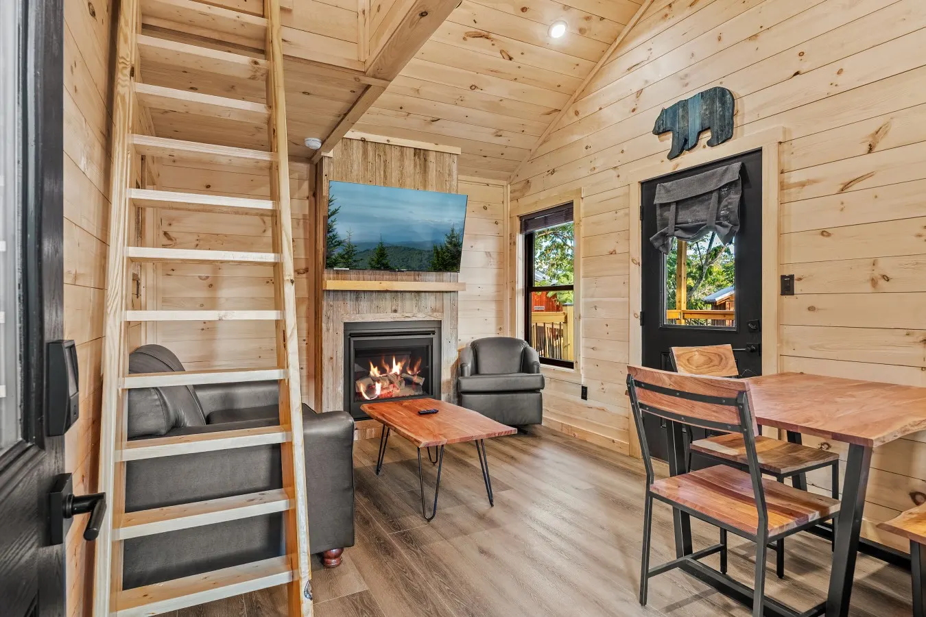 Rich Mountain, Treelodge #16 9
