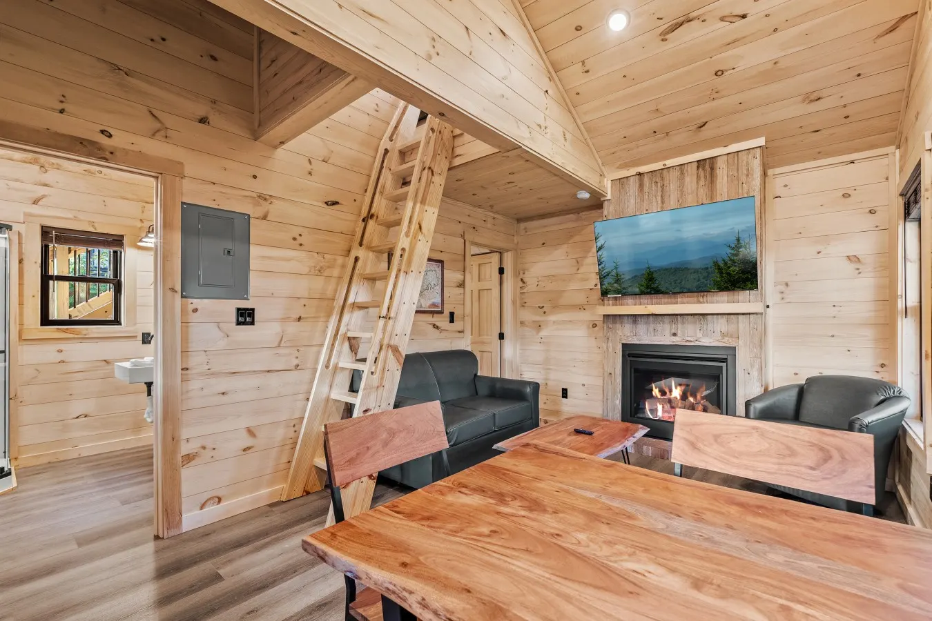 Rich Mountain, Treelodge #16 10