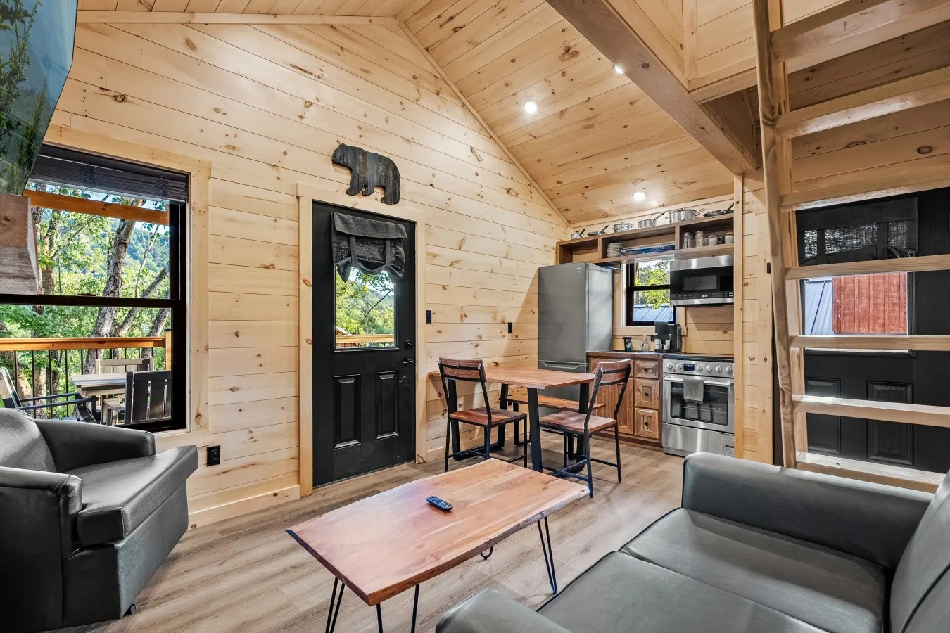 Rich Mountain, Treelodge #16 11