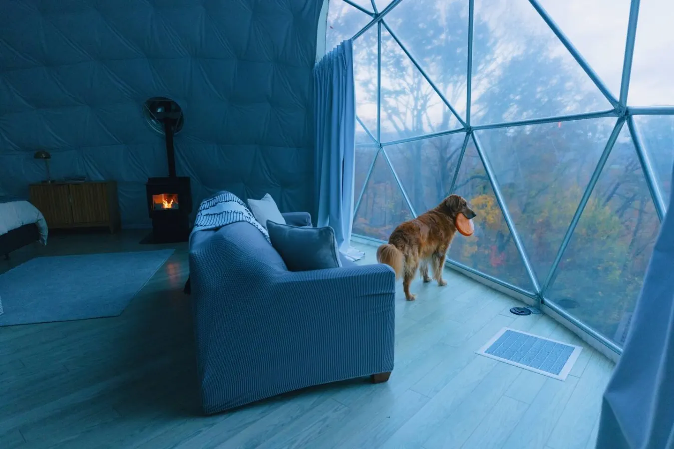 Asheville Luxury Glamping Dome Mtn View, Hot Tub 9