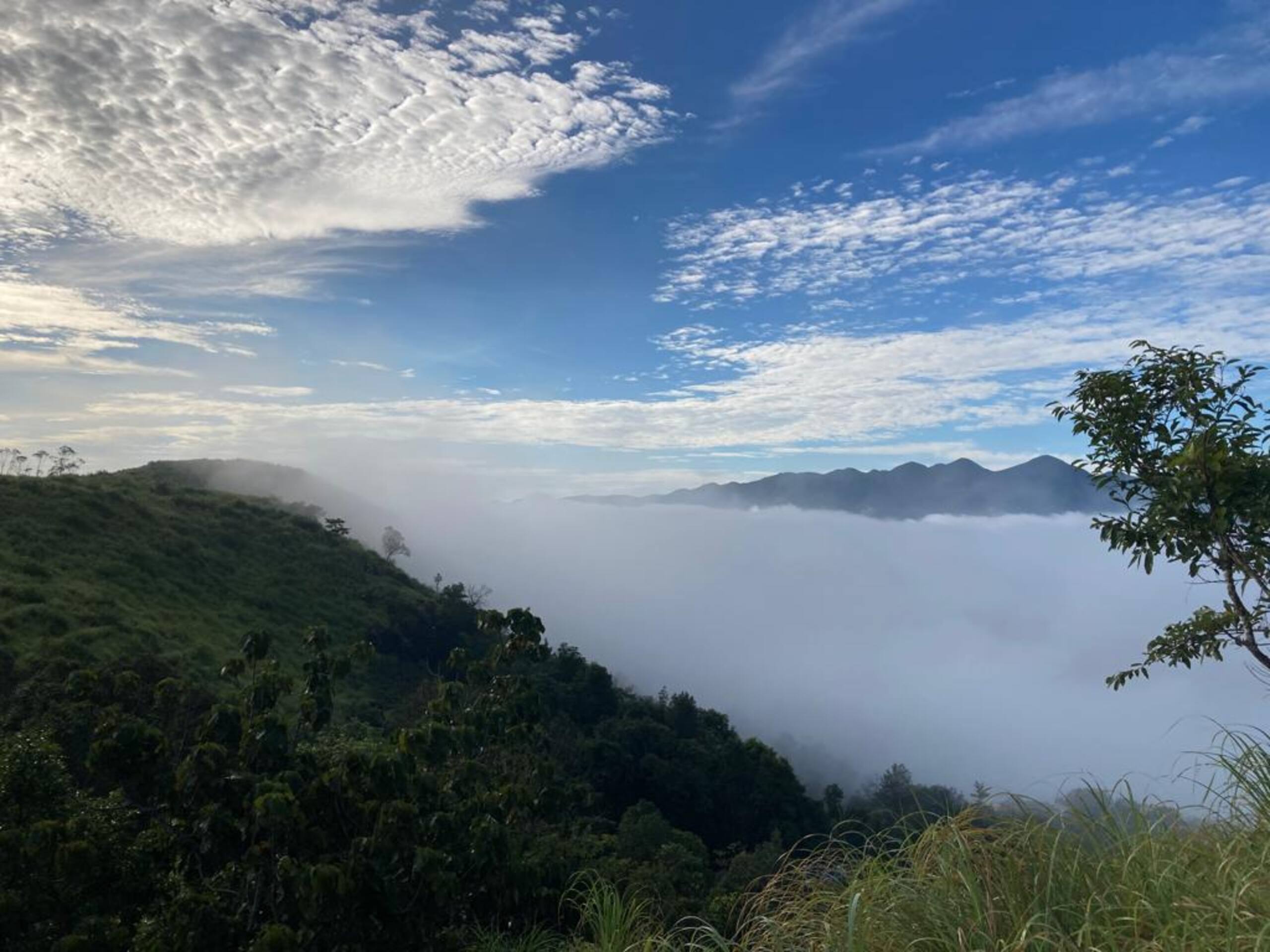 Thumpayil Hills Plantation Homestay Vagamon 7