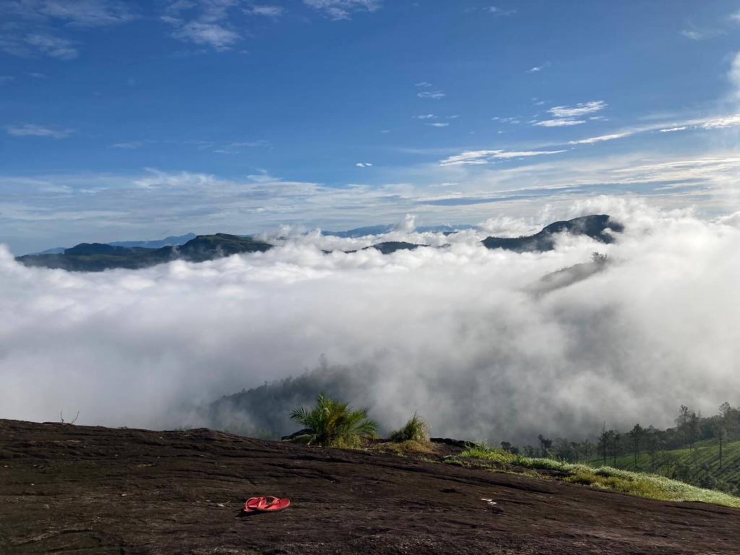 Thumpayil Hills Plantation Homestay Vagamon 6