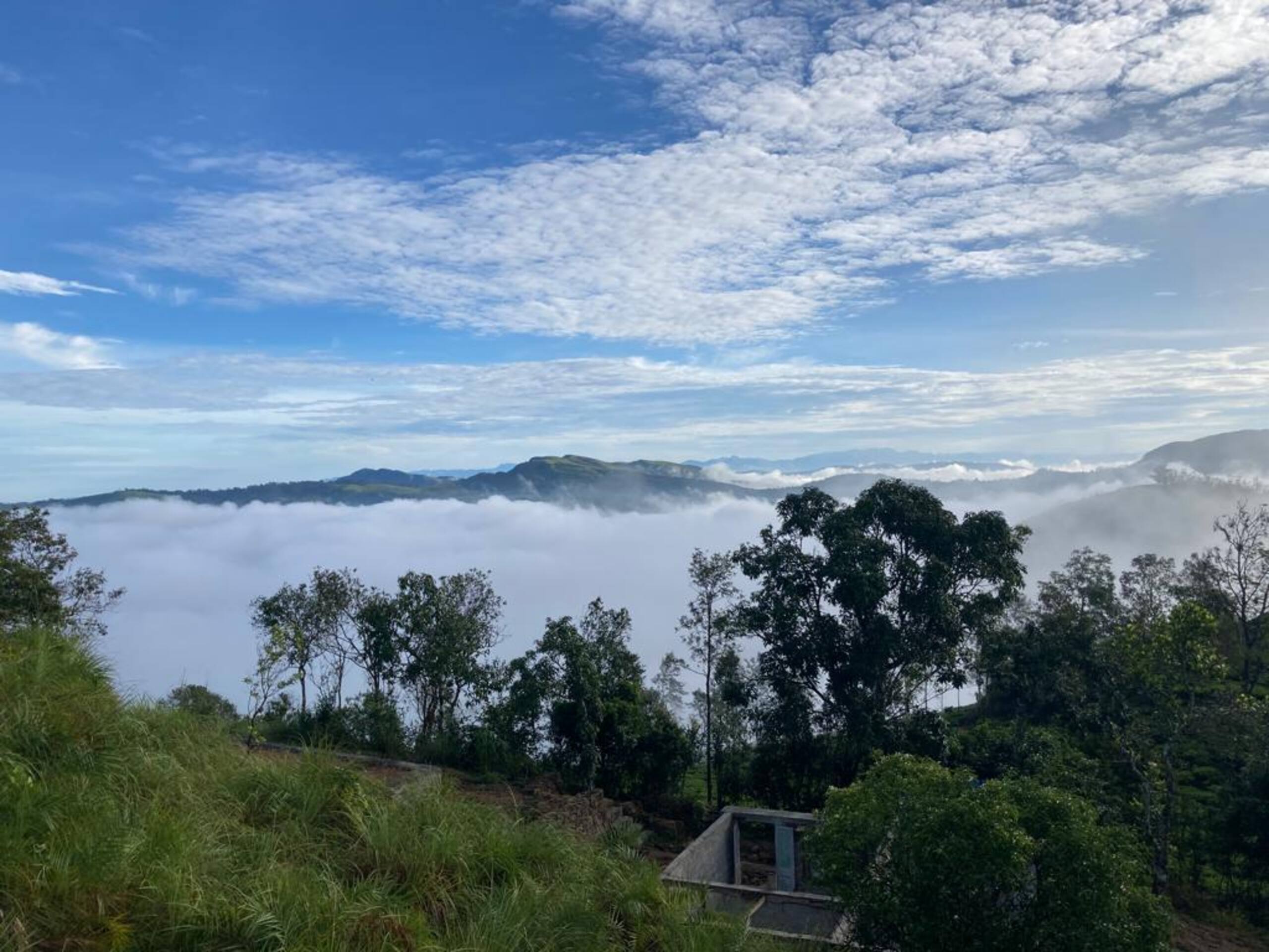 Thumpayil Hills Plantation Homestay Vagamon 9