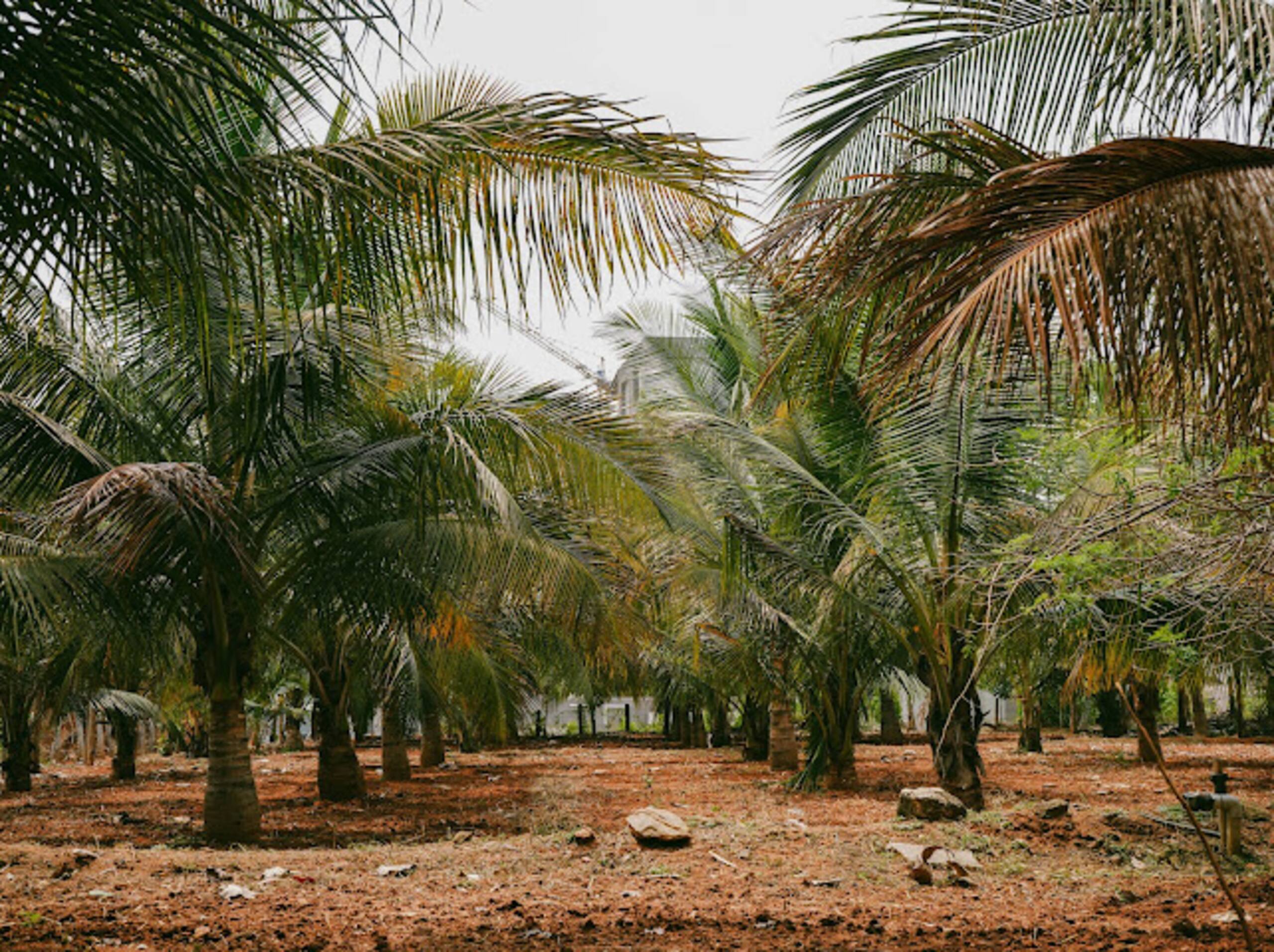 Jenugudu Farm Stays 36