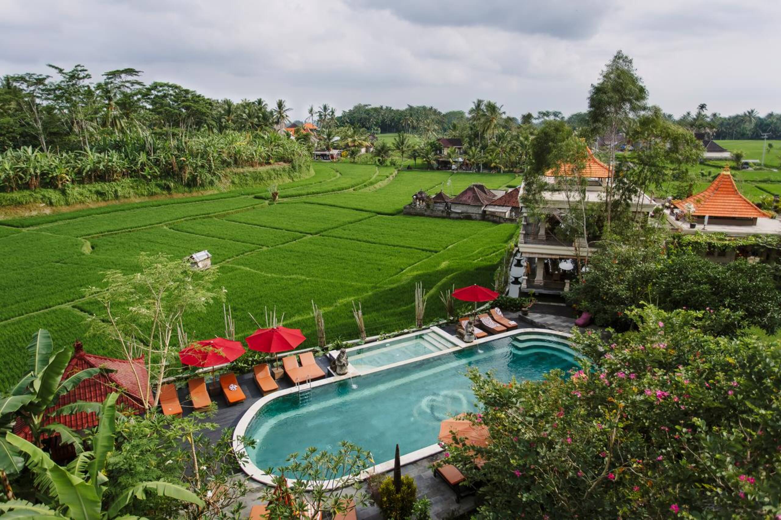 Best Yoga Retreat, Room and Free Basic Yoga — photo 4