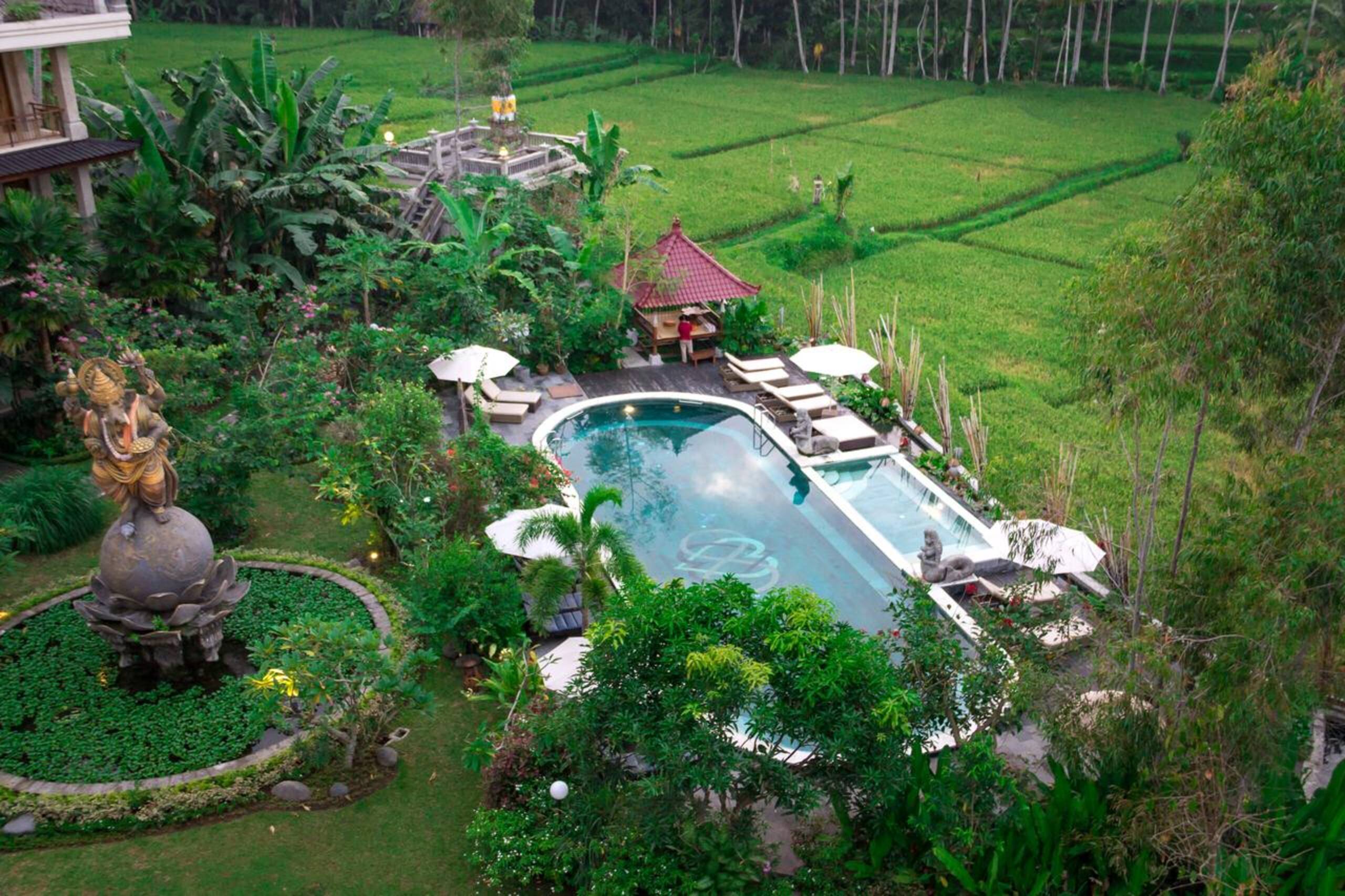 Best Yoga Retreat, Room and Free Basic Yoga — photo 3