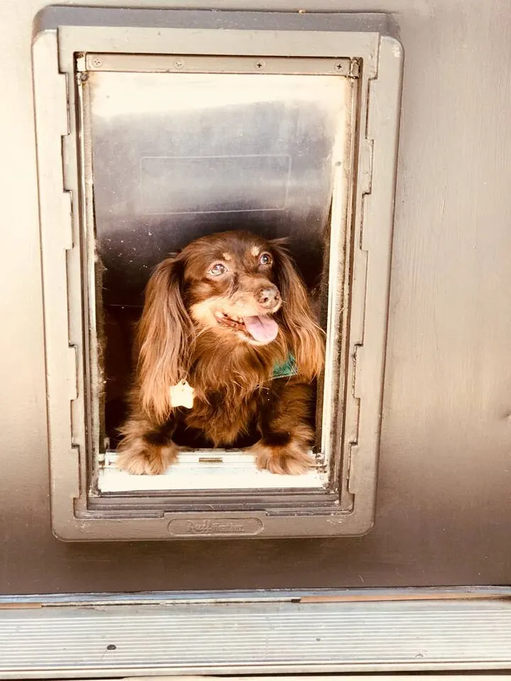 Next to UT, 3 Miles to Downtown, Pet- Friendly 17