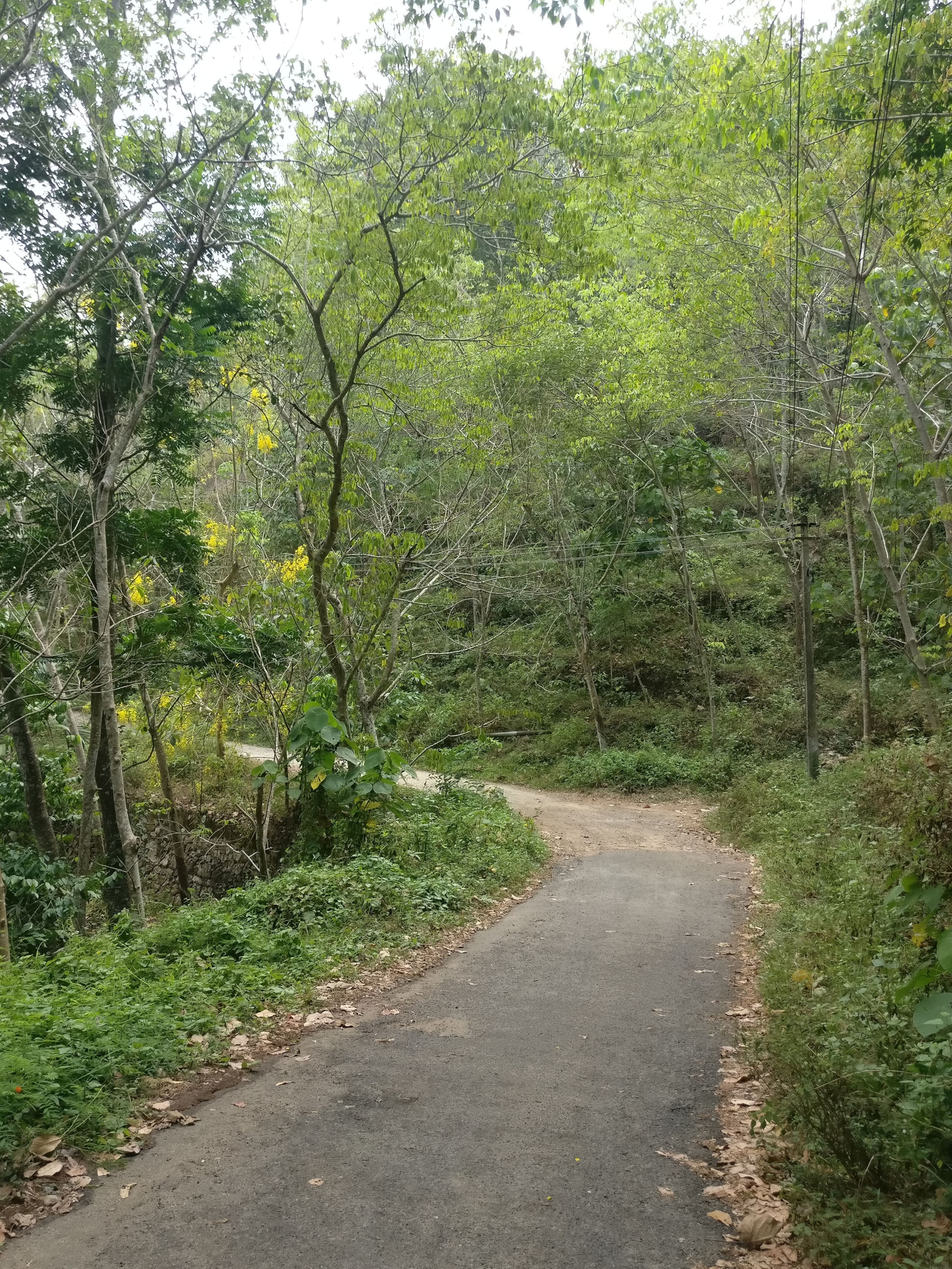 Ekam Retreat - One with Nature 11