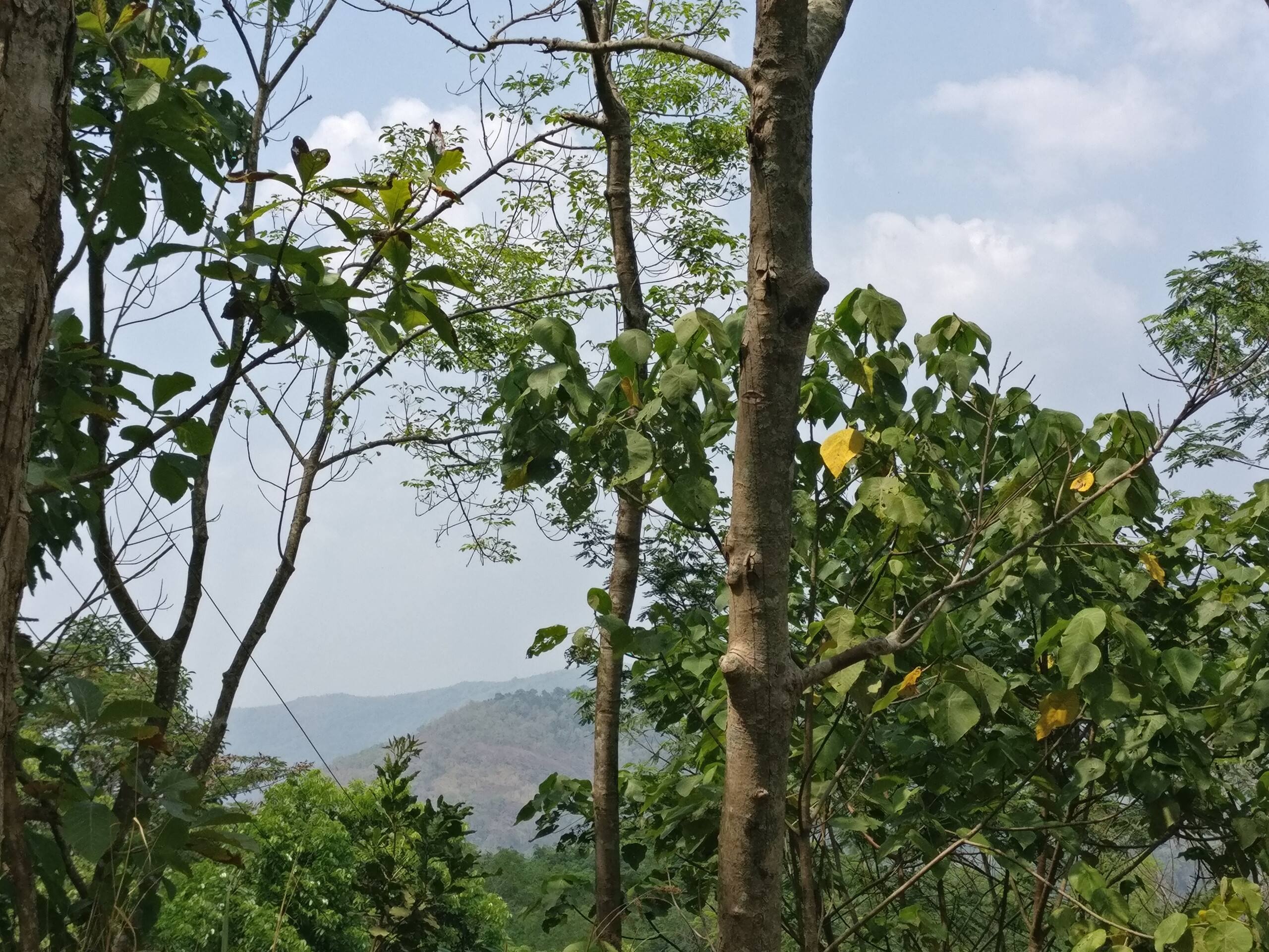 Ekam Retreat - One with Nature 12