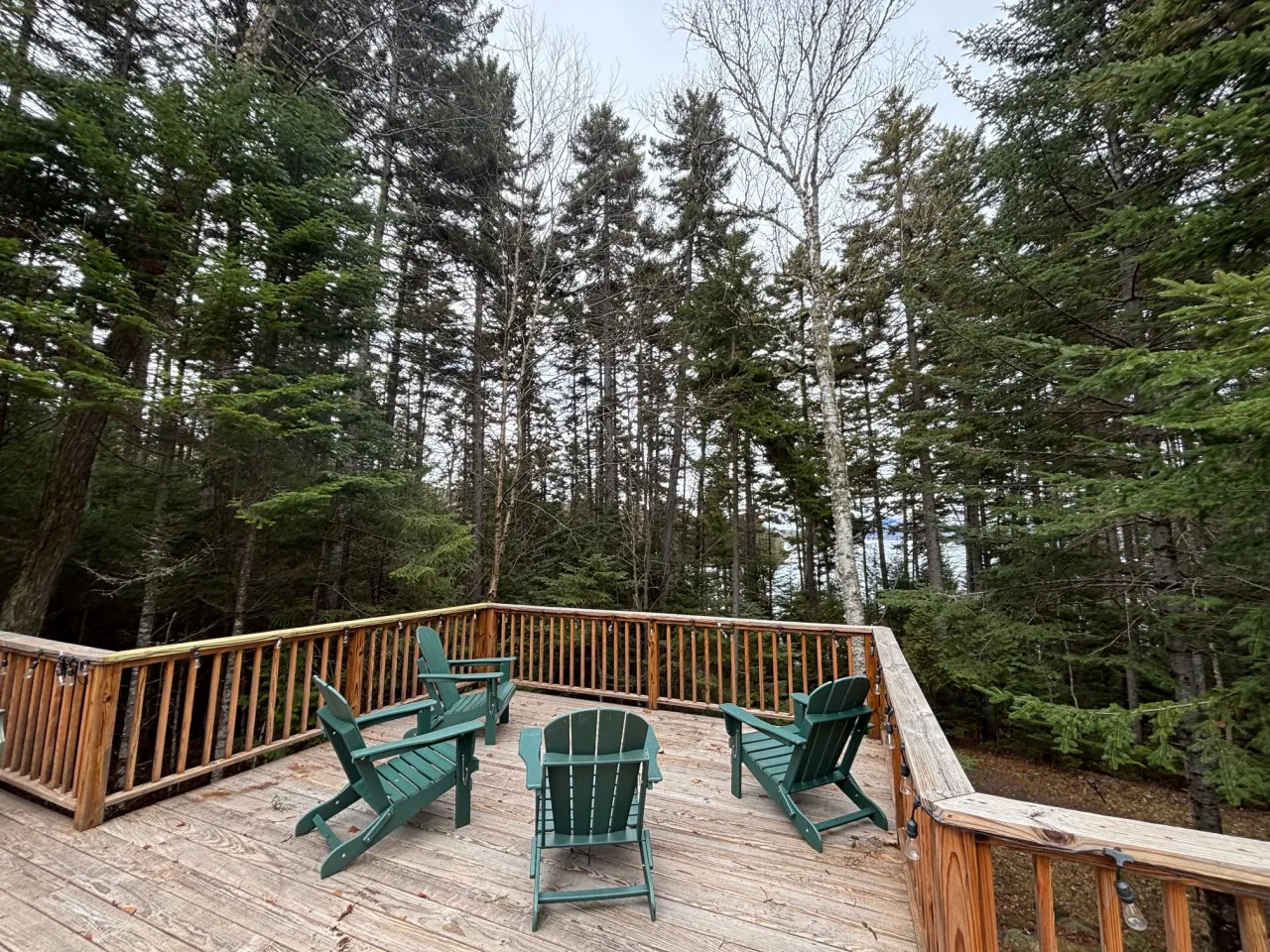 Lake of the Woods 11