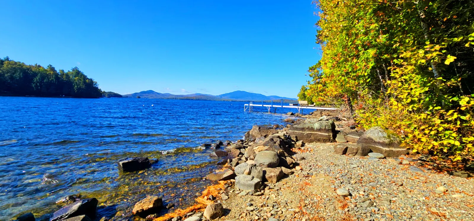 Lake of the Woods 5