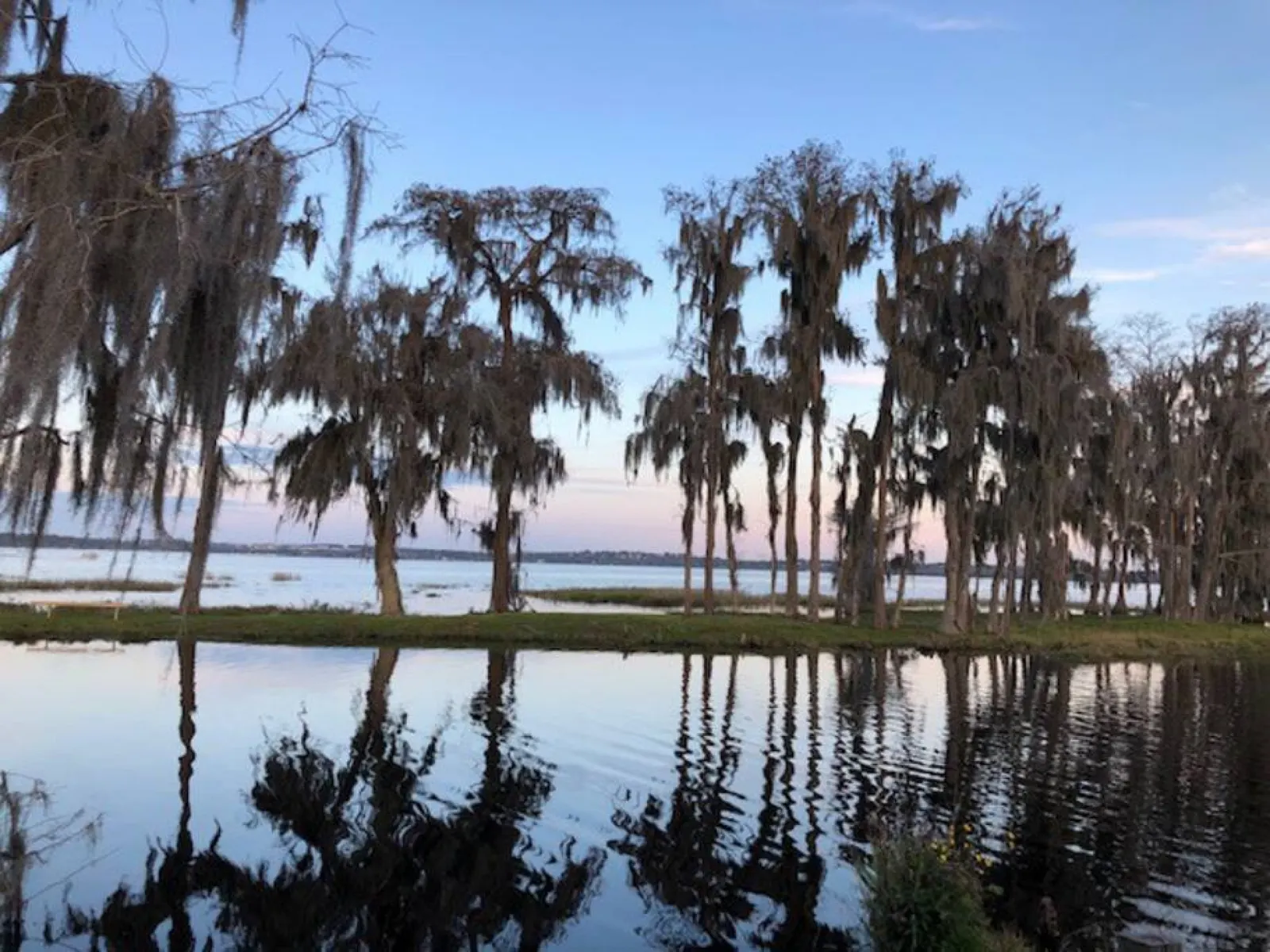 The Lakeview House - Pet friendly Lakeside Tiny Home in Clermont 17