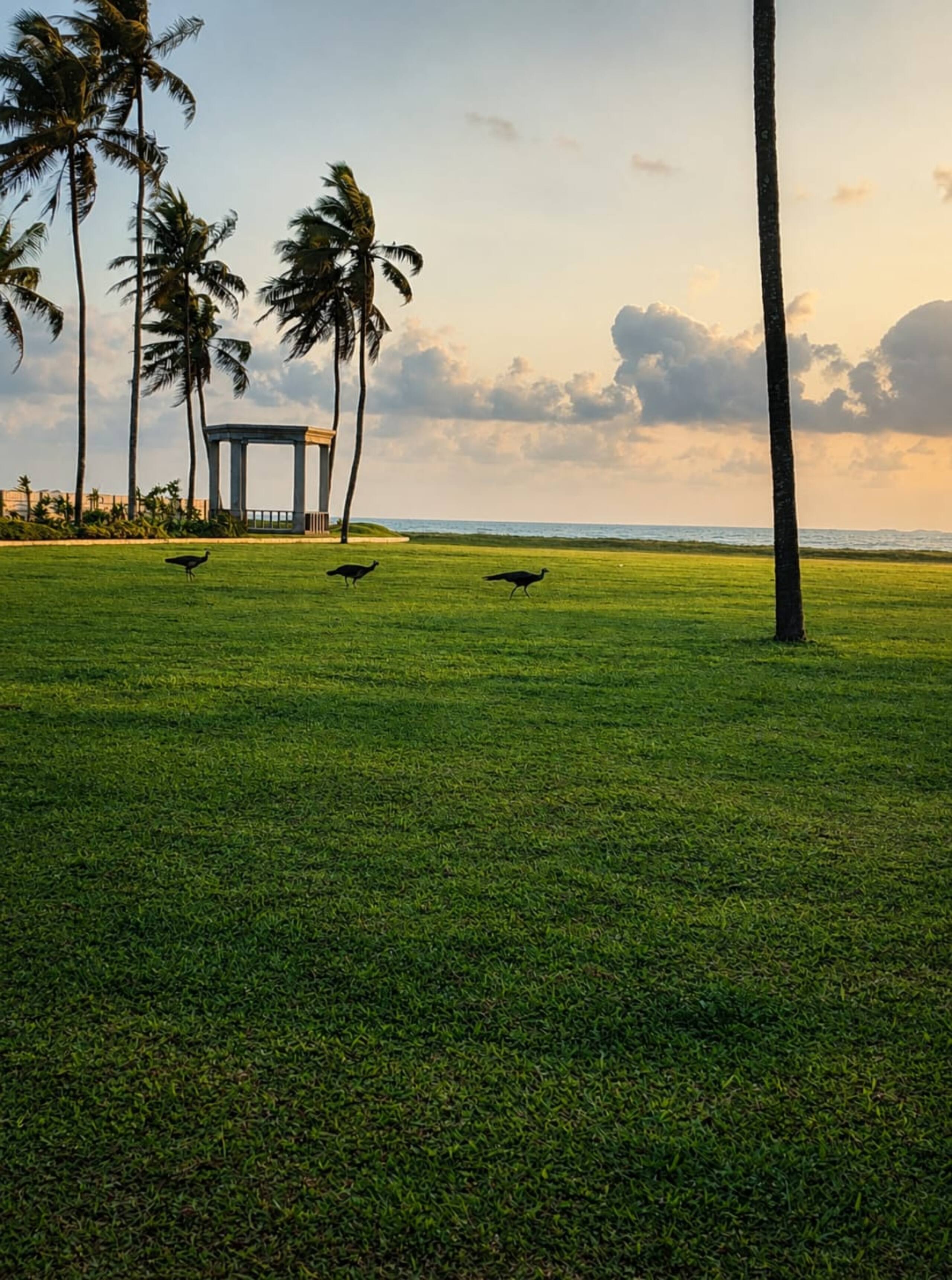 Villa Kshana by the sea 11